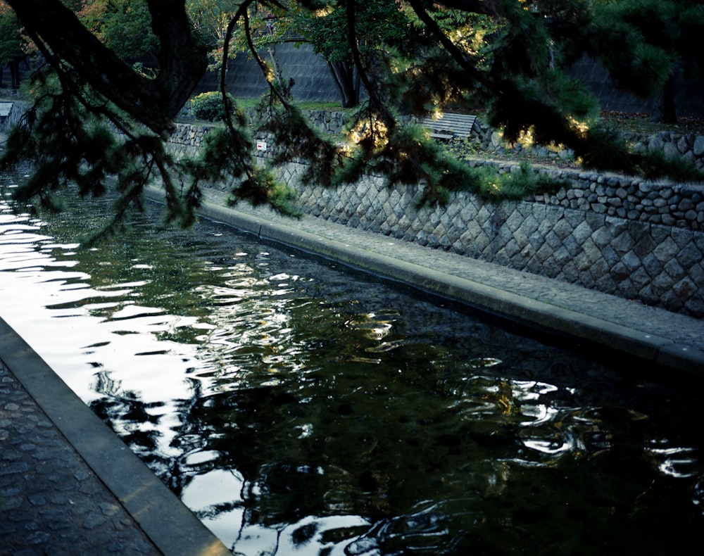 a river running through a park next to a stone wall