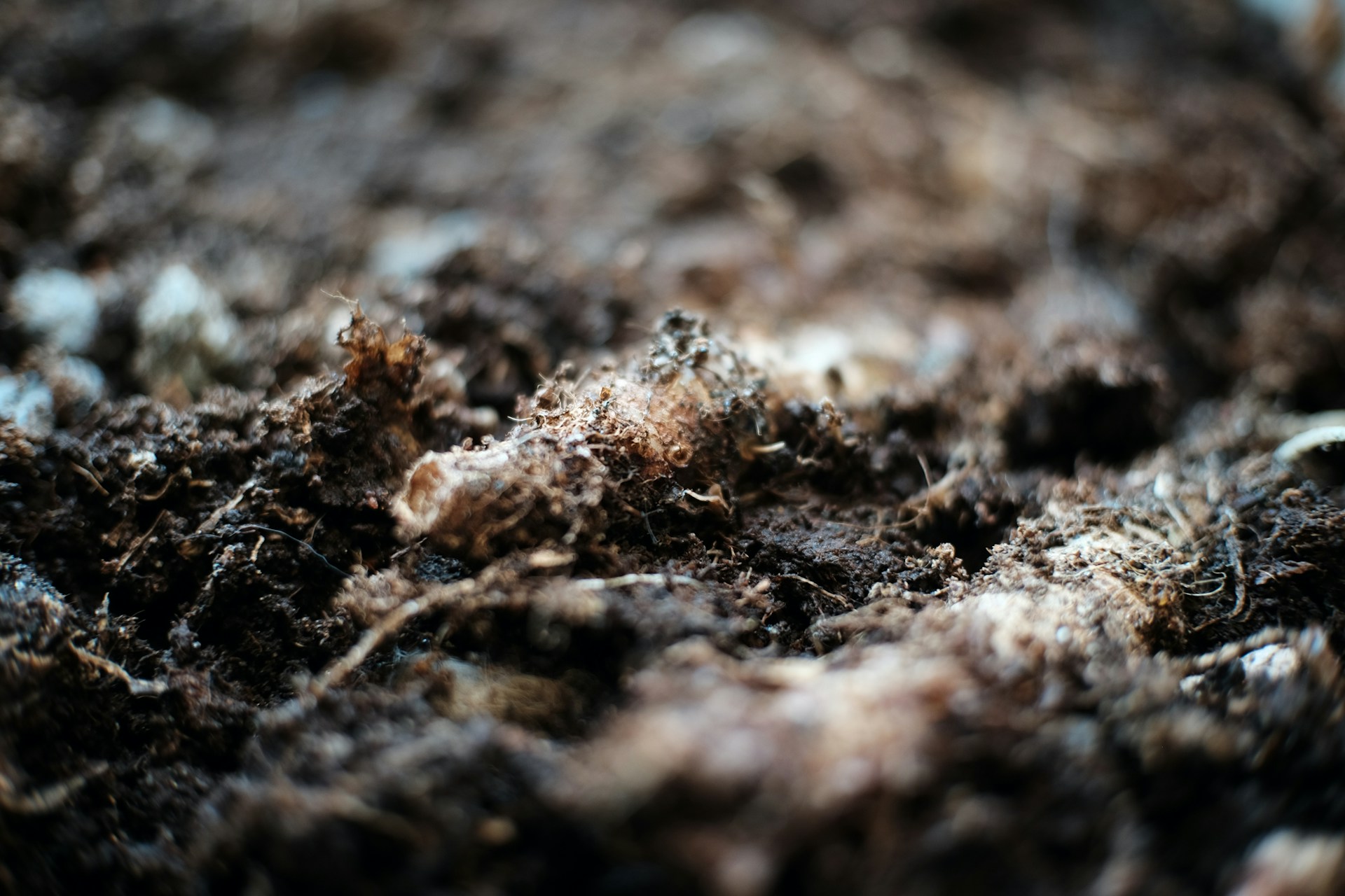 a close up of a pile of dirt
