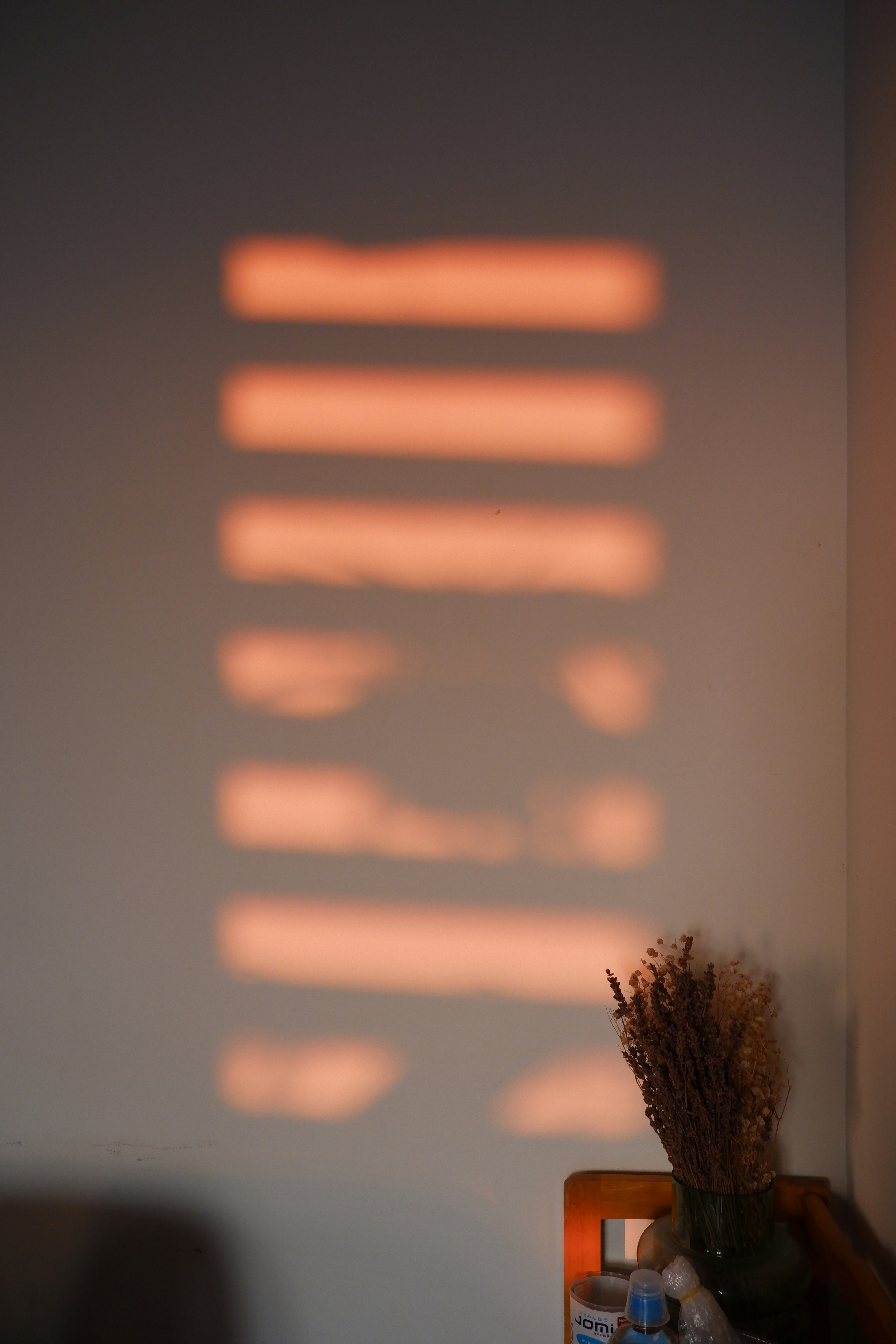 벽의 그림자와 꽃이 있는 꽃병