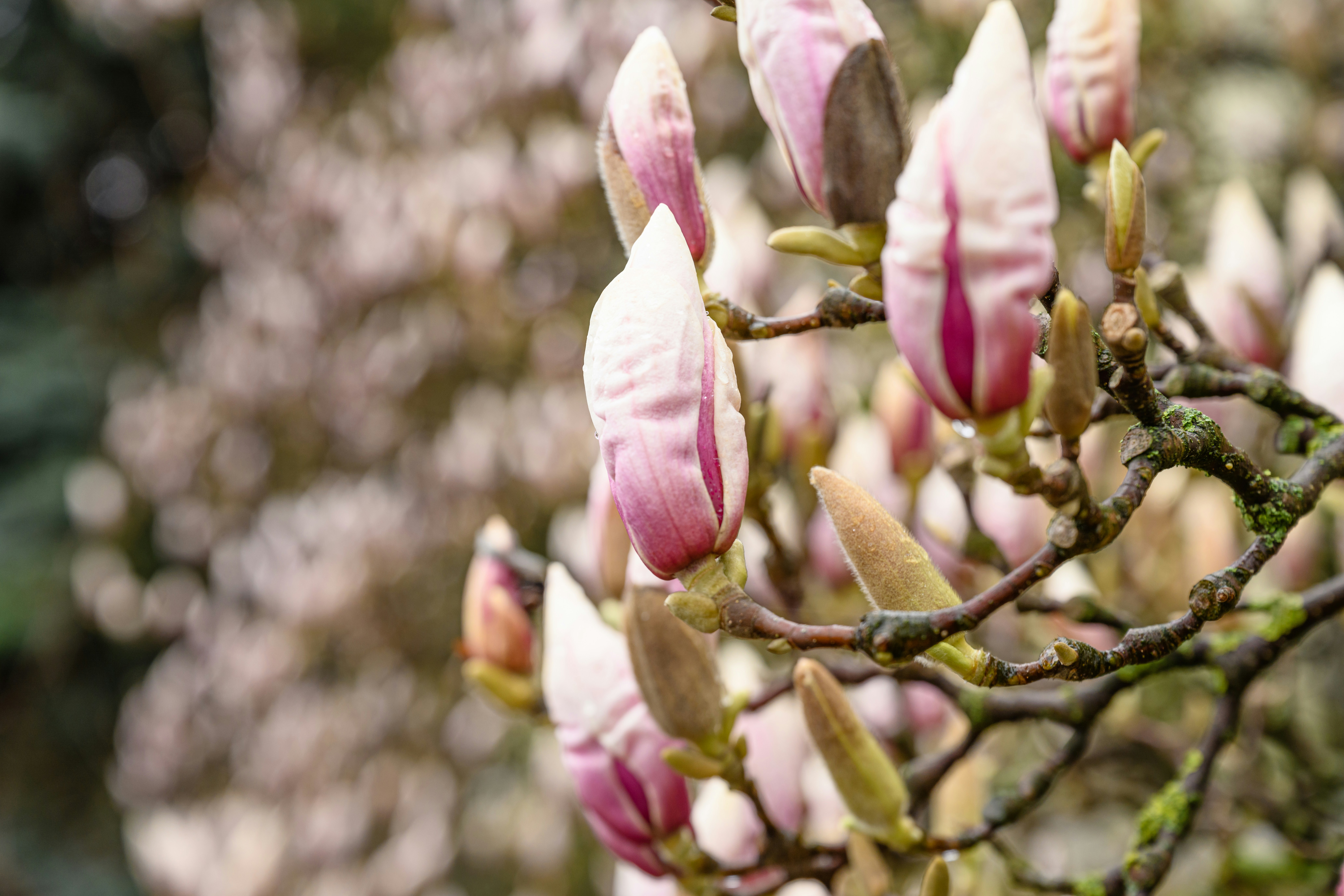 Photo by joanna_stolowicz