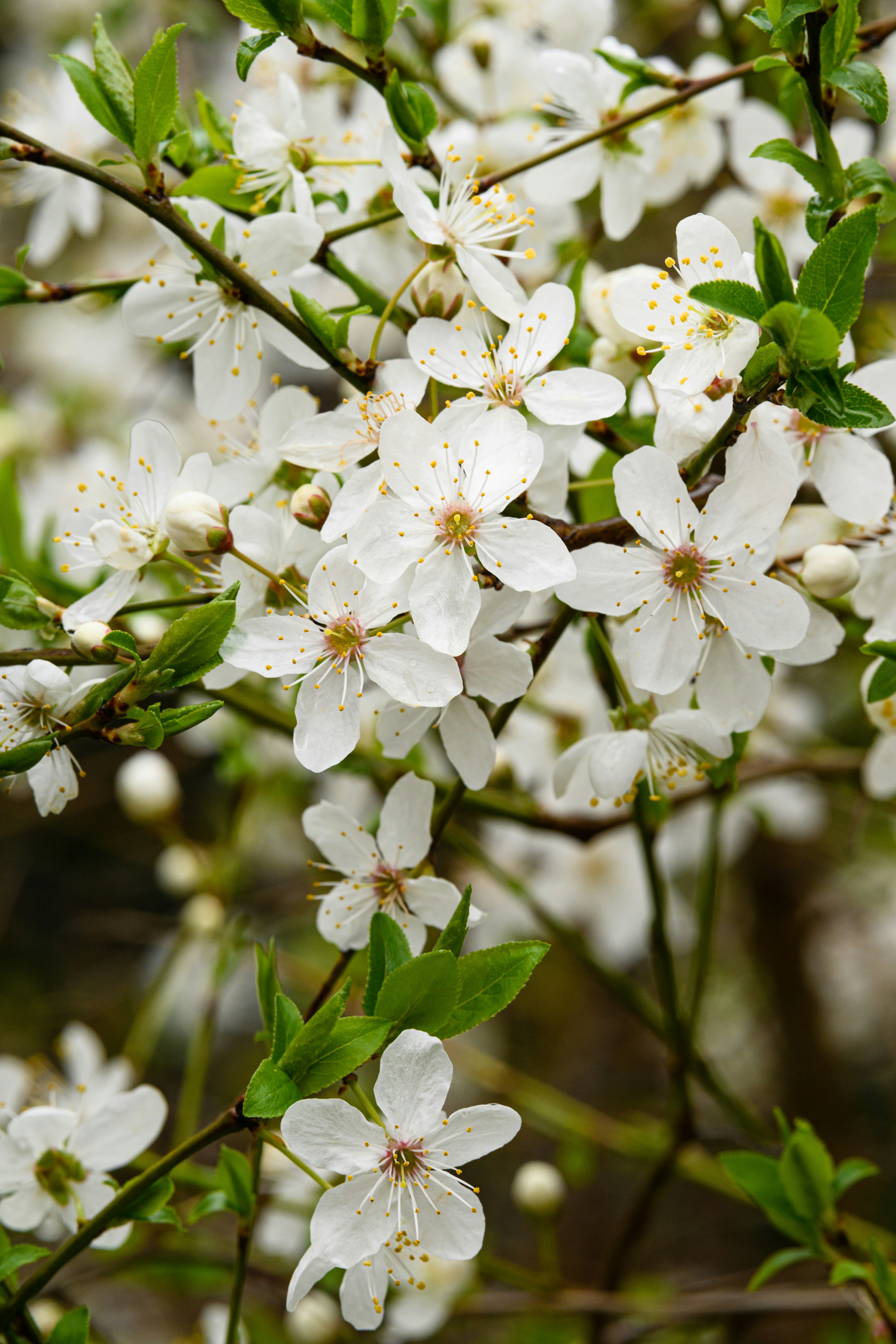 Photo by joanna_stolowicz