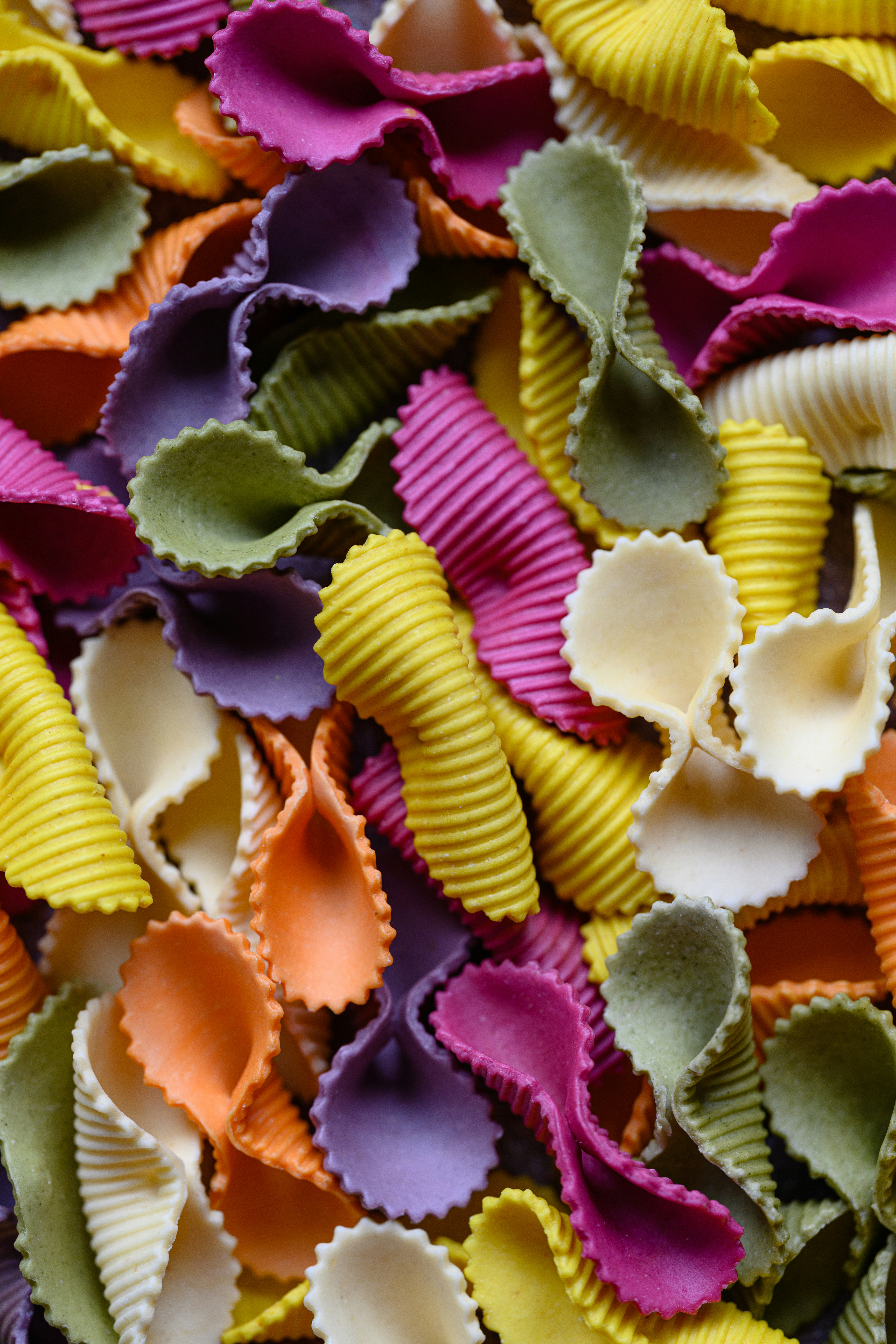 Pasta collage pictures
