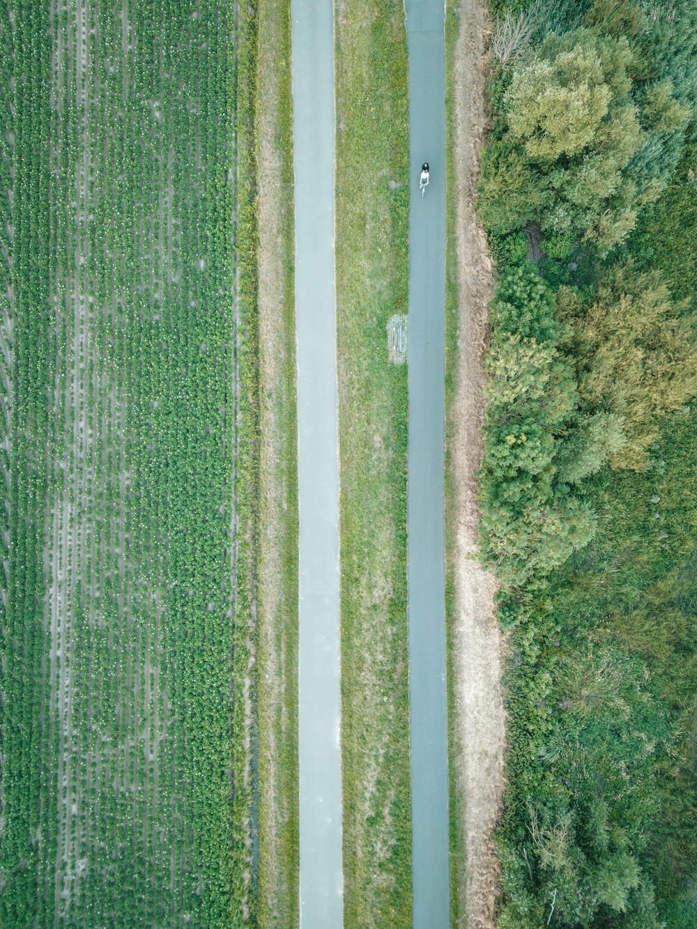 an aerial view of a road running through a field