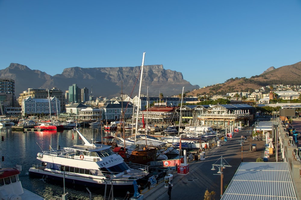 a group of boats are docked in a harbor