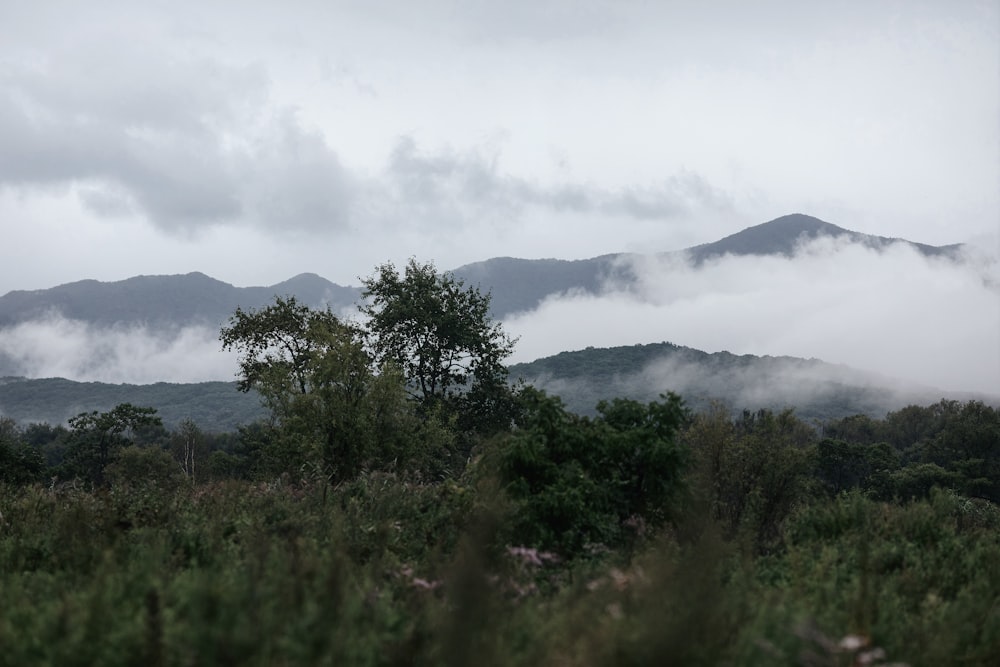 a view of a mountain range with low lying clouds