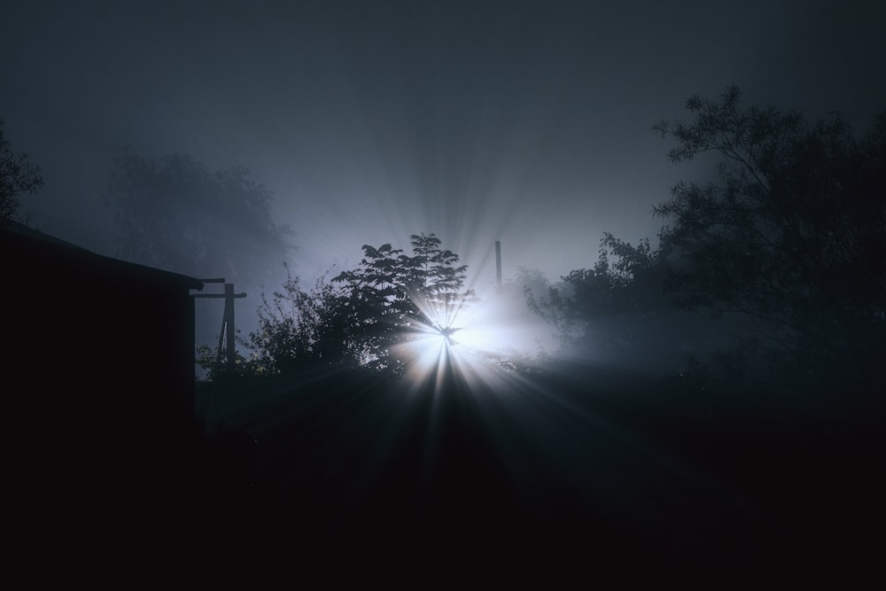 a foggy night with the sun shining through the trees