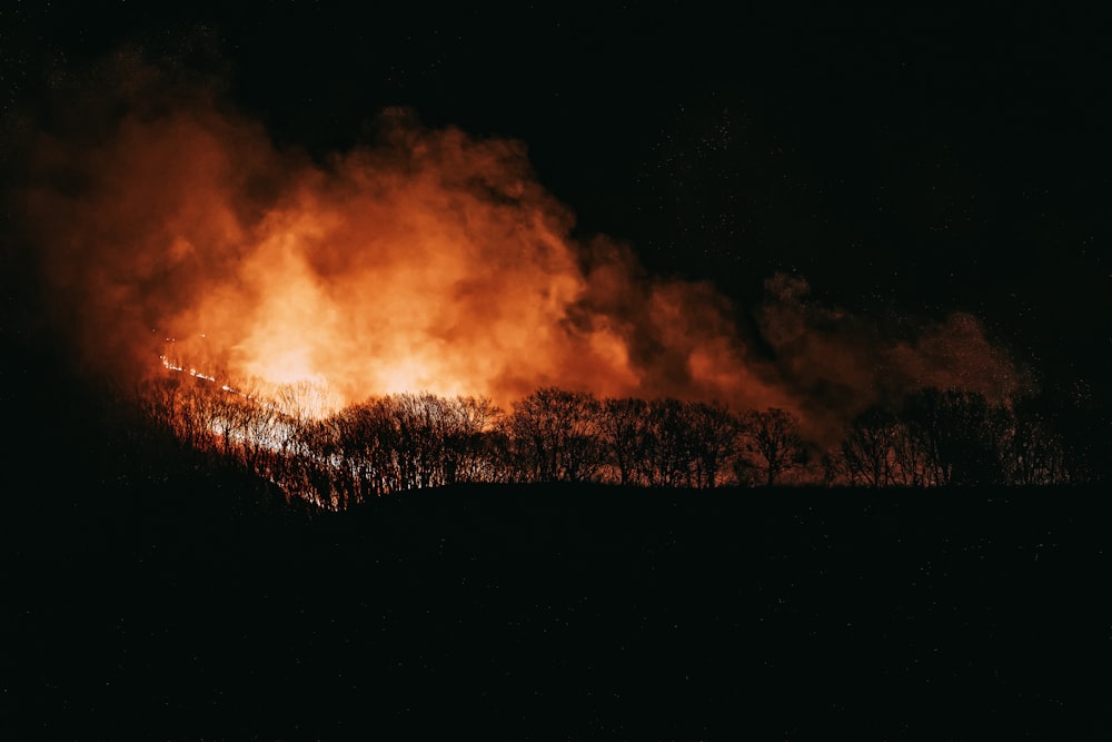 Ein großes Feuer lodert am Nachthimmel