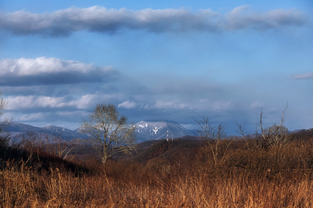 a view of a snowy mountain range in the distance