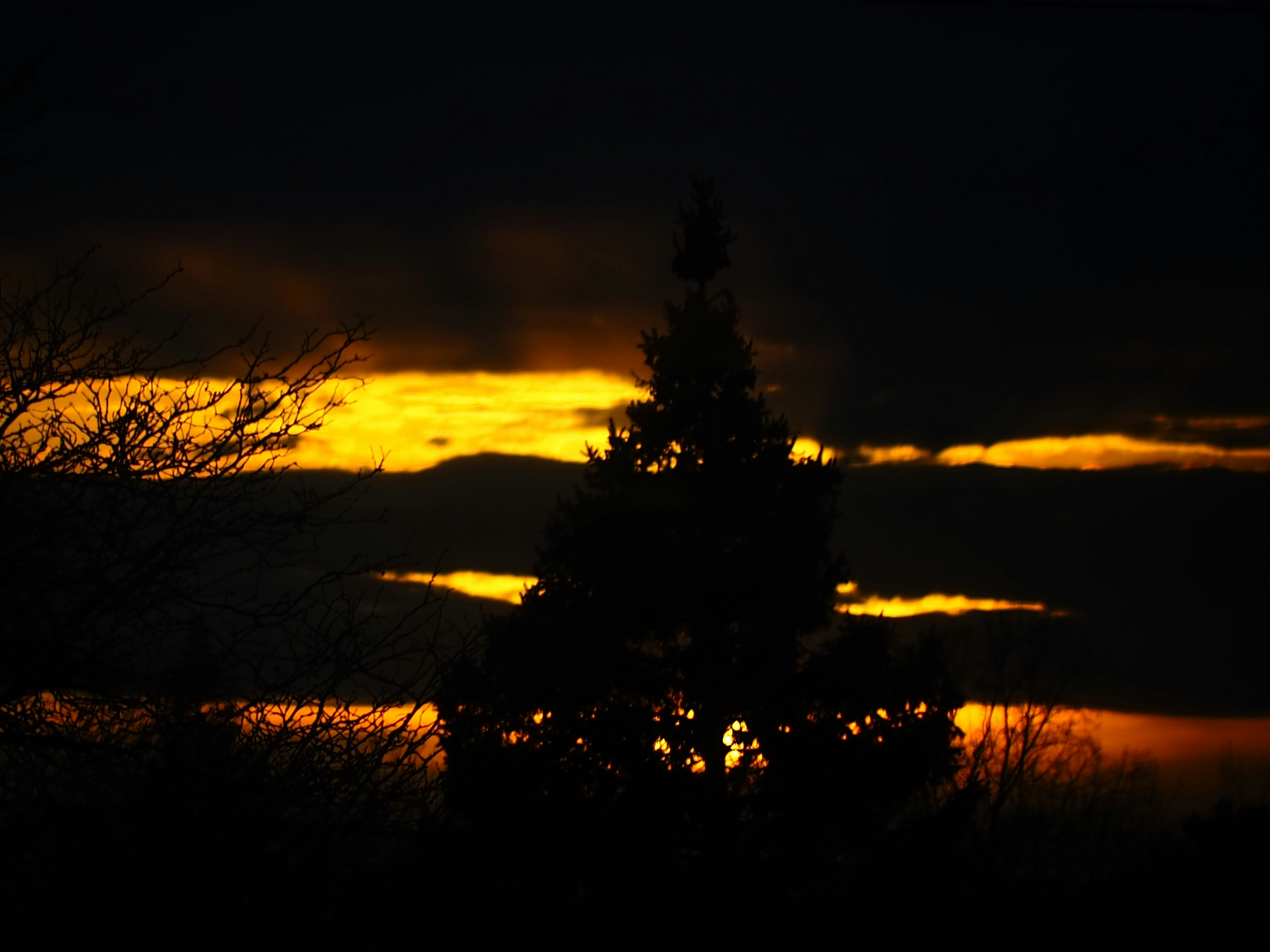 a tree is silhouetted against a dark sky