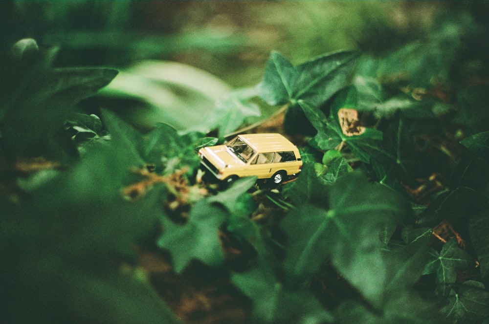 Une petite voiture est assise dans les feuilles d’un buisson