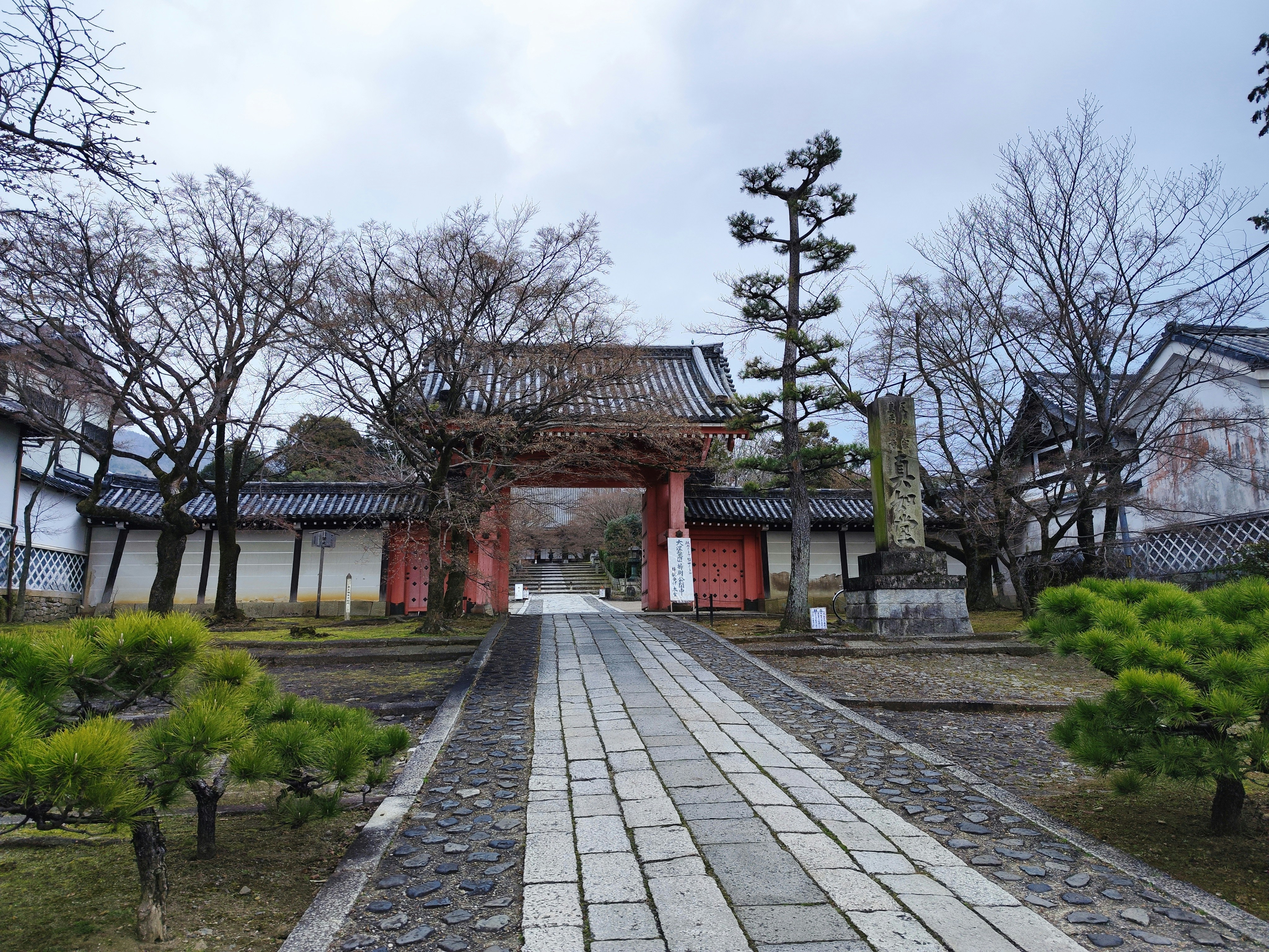 Photo by dm8ryphotos