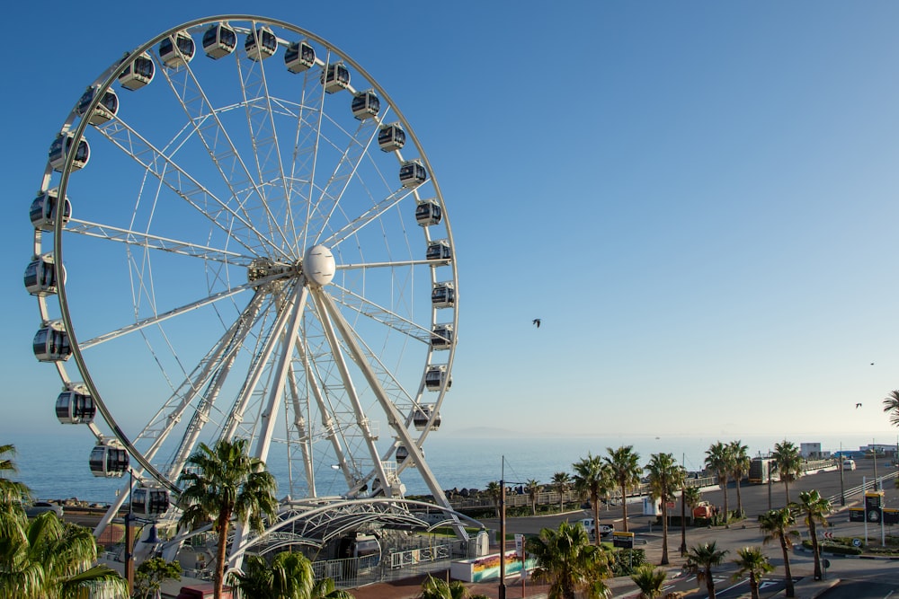 a large ferris wheel sitting next to the ocean