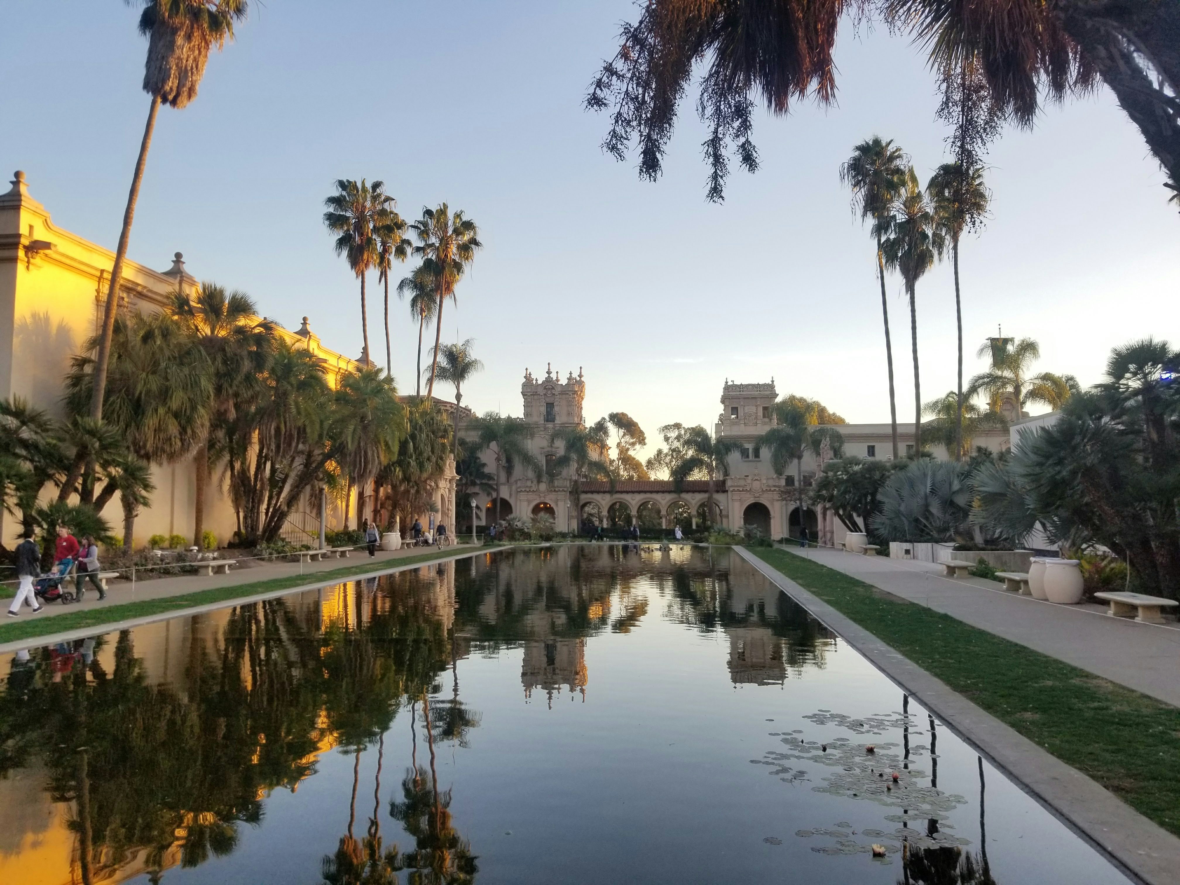 Luxury hotel pool with elegant architecture and palm trees reflecting in calm water at sunset
