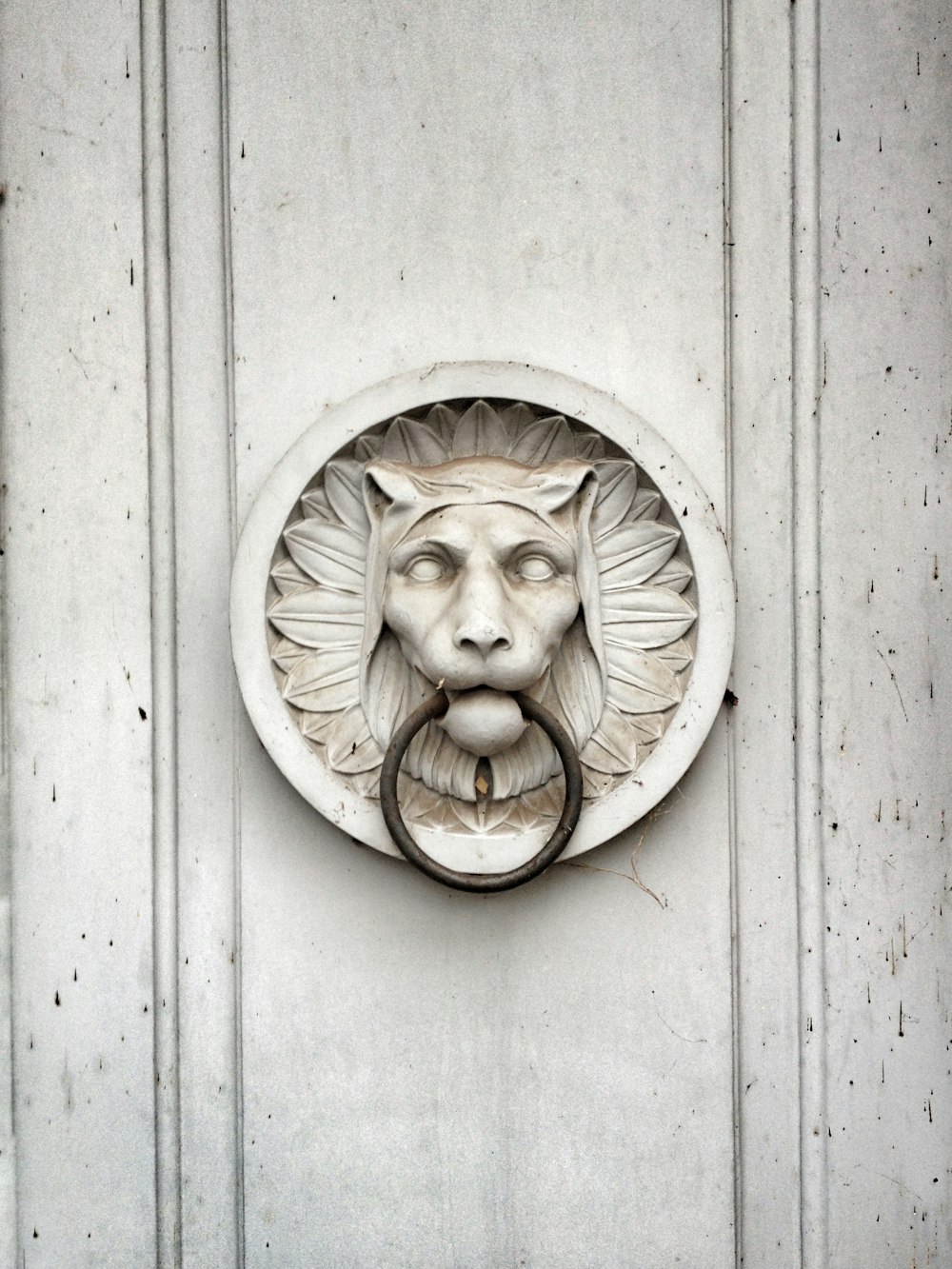 a white door with a lion's head on it