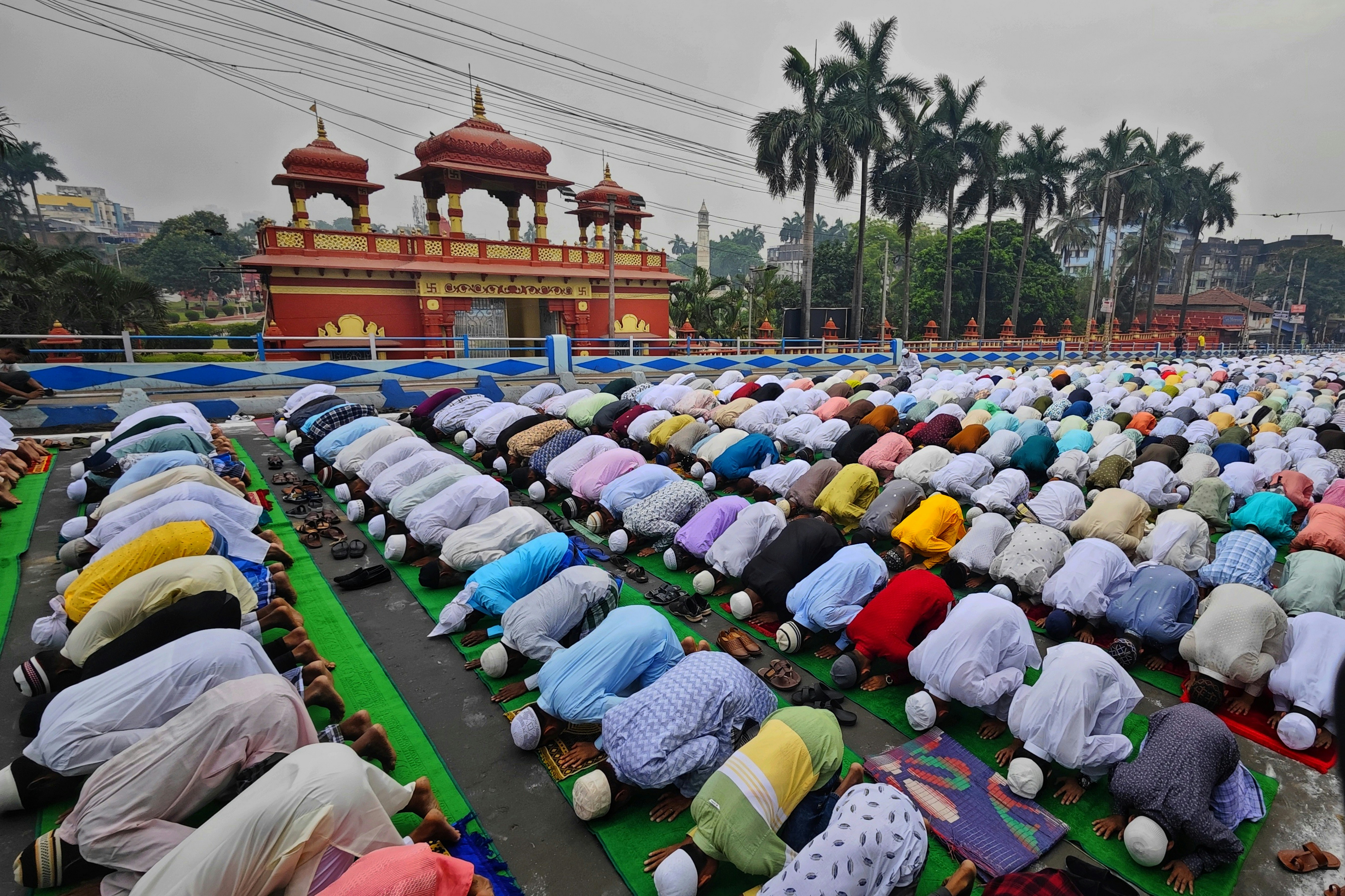 a large group of people laying on the ground