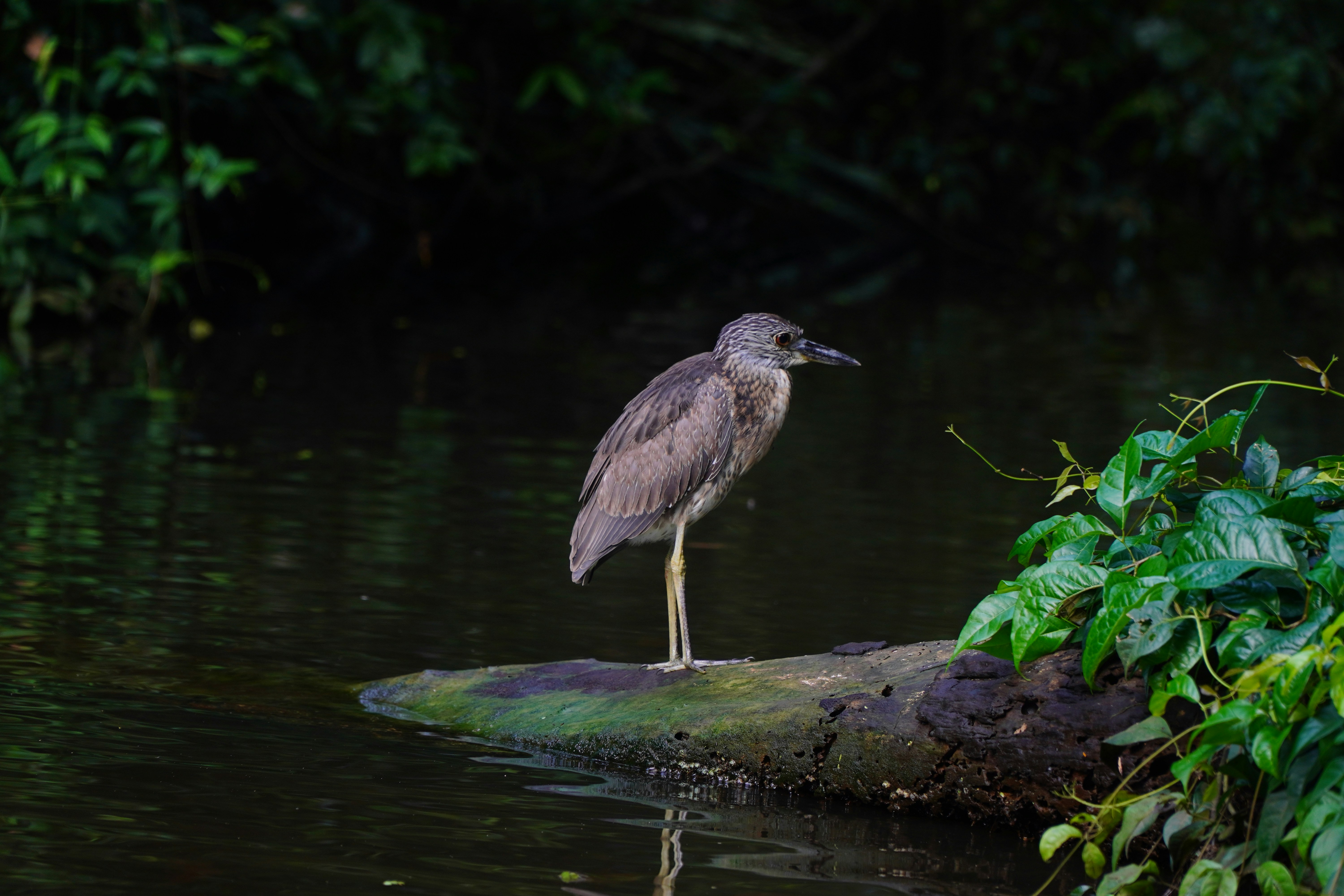Photo by wholenewworldphoto