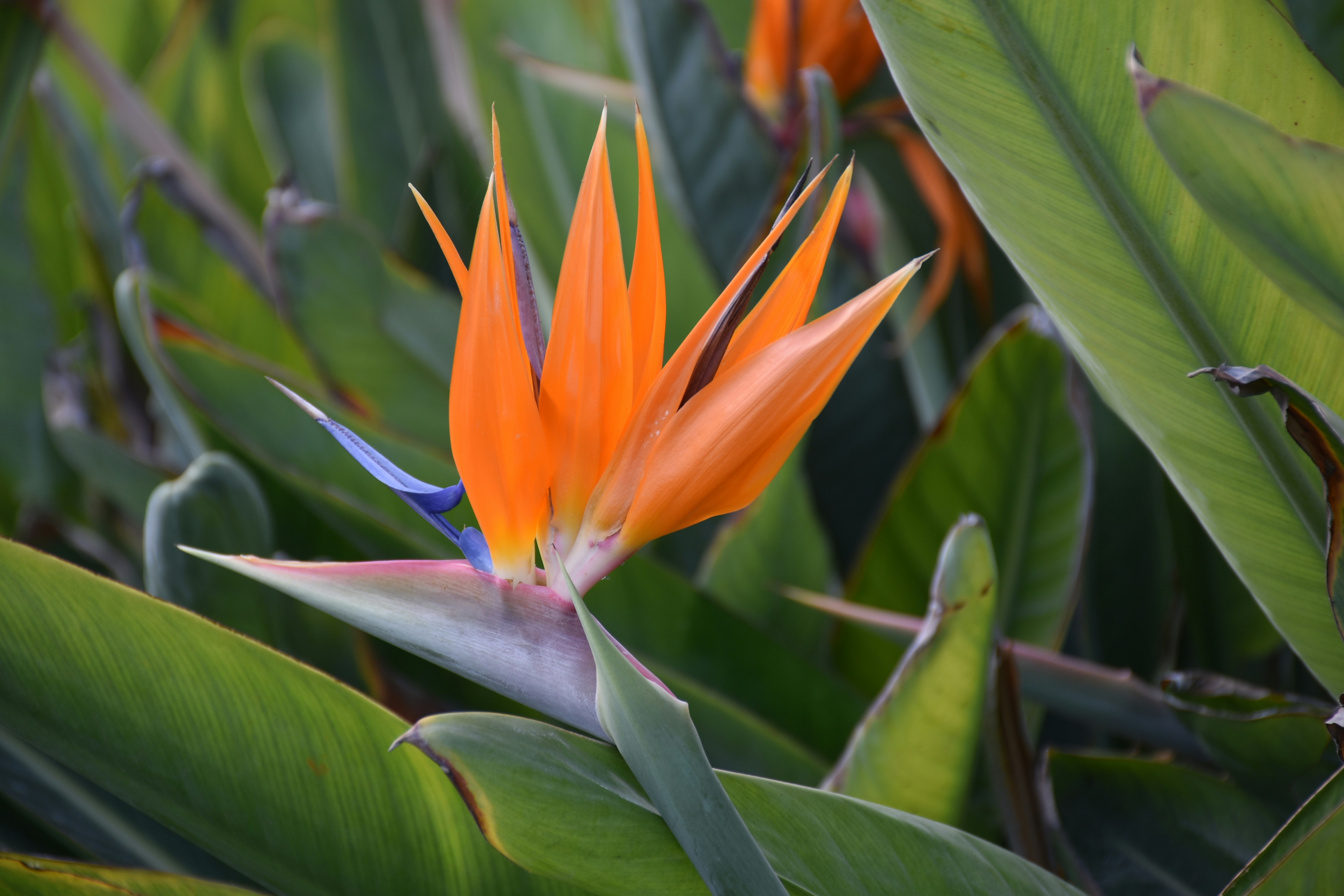 Photo by luigy_ghost