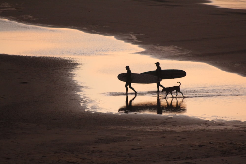 a couple of people with a surfboard on a beach