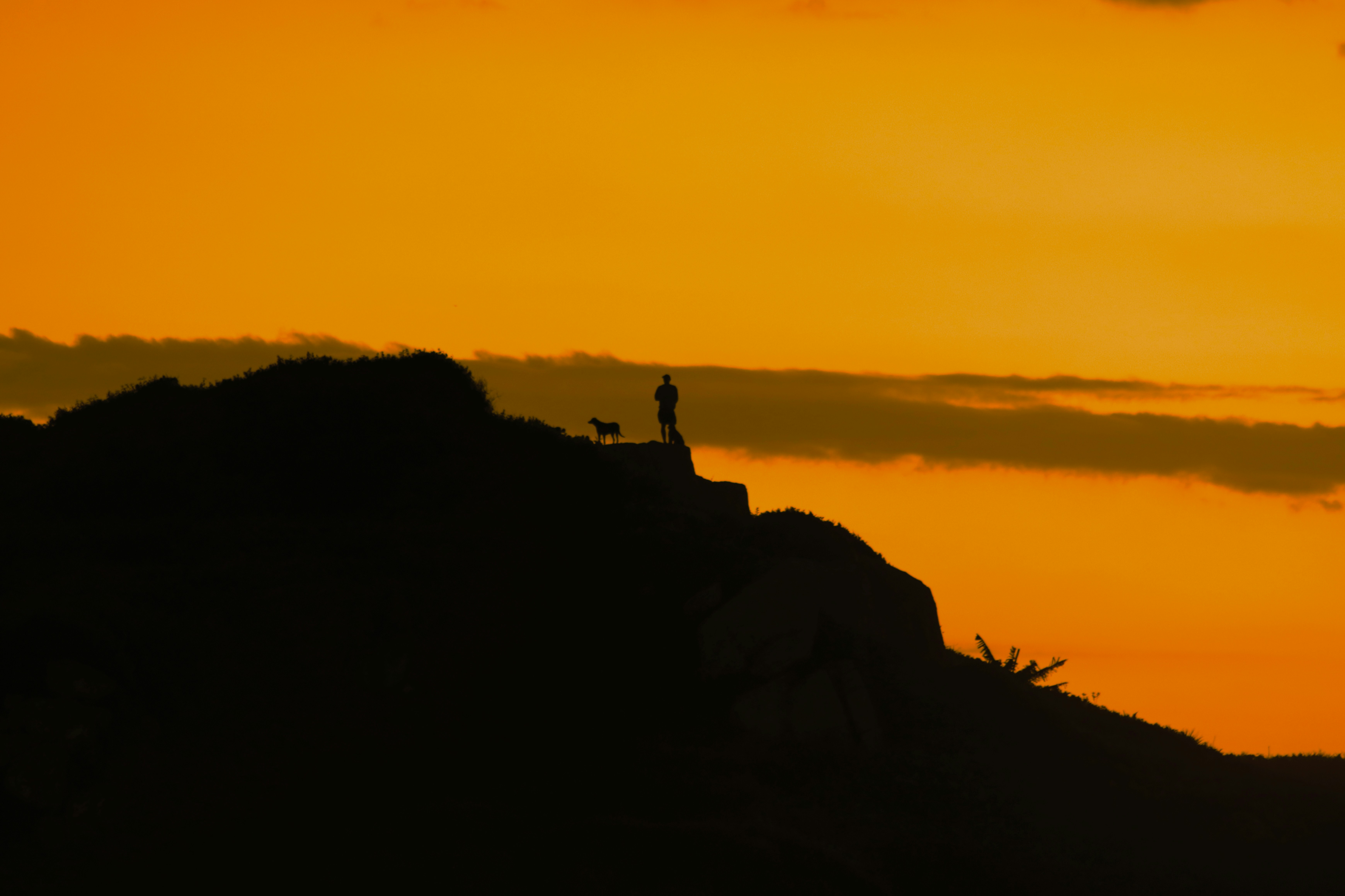 Photo by fernandoverch