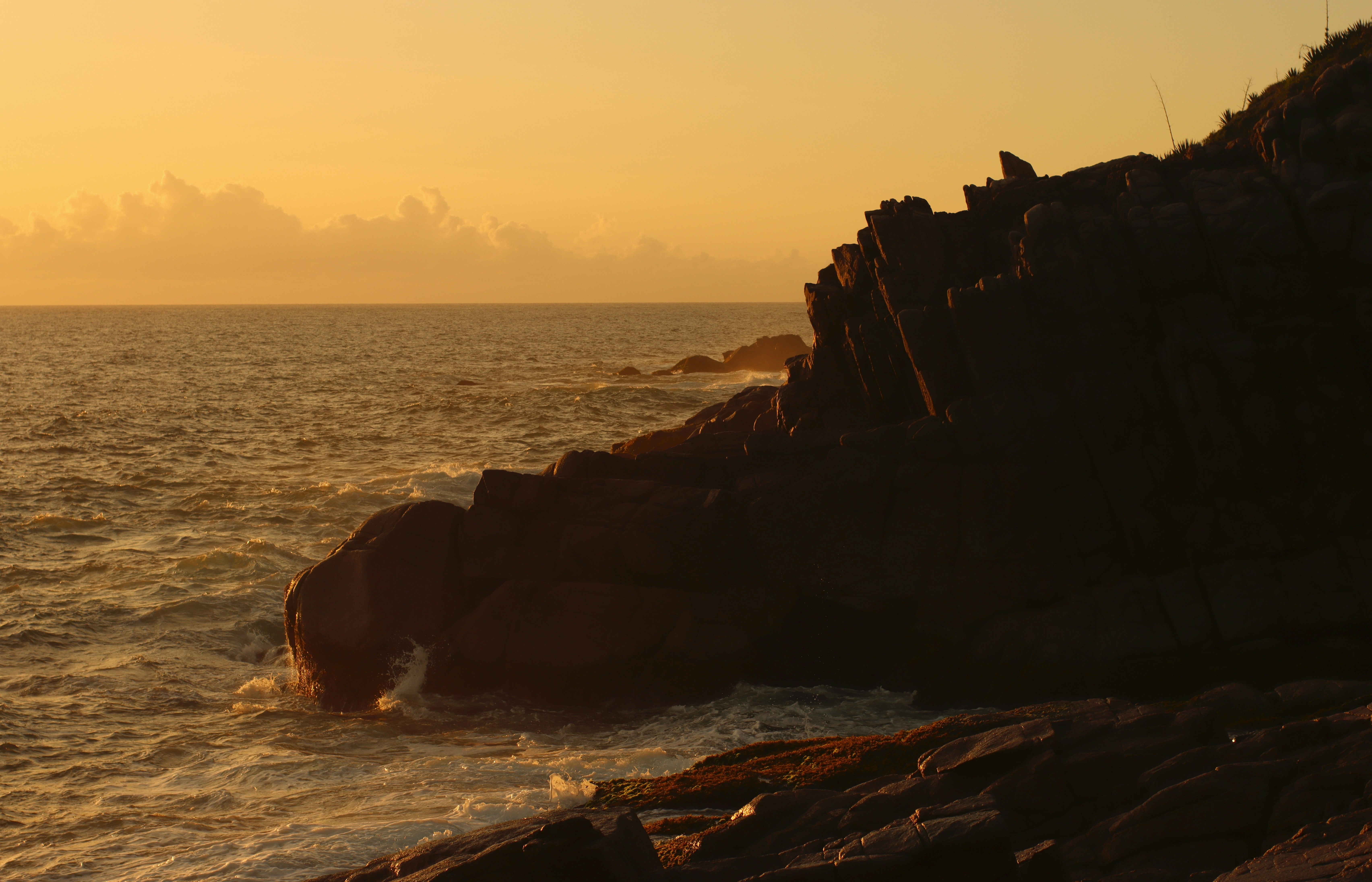 Photo by fernandoverch