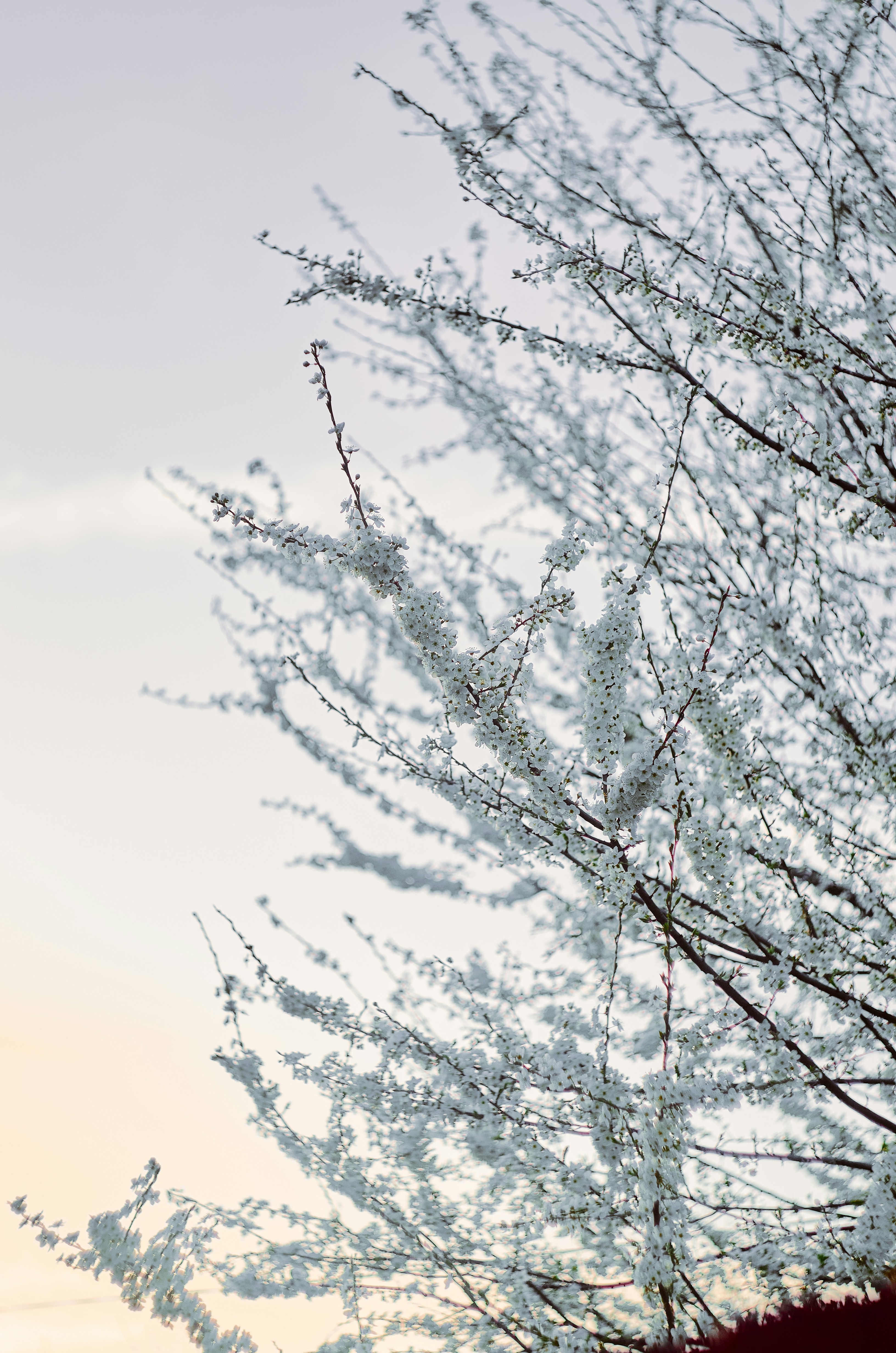 Photo by manuallensfan