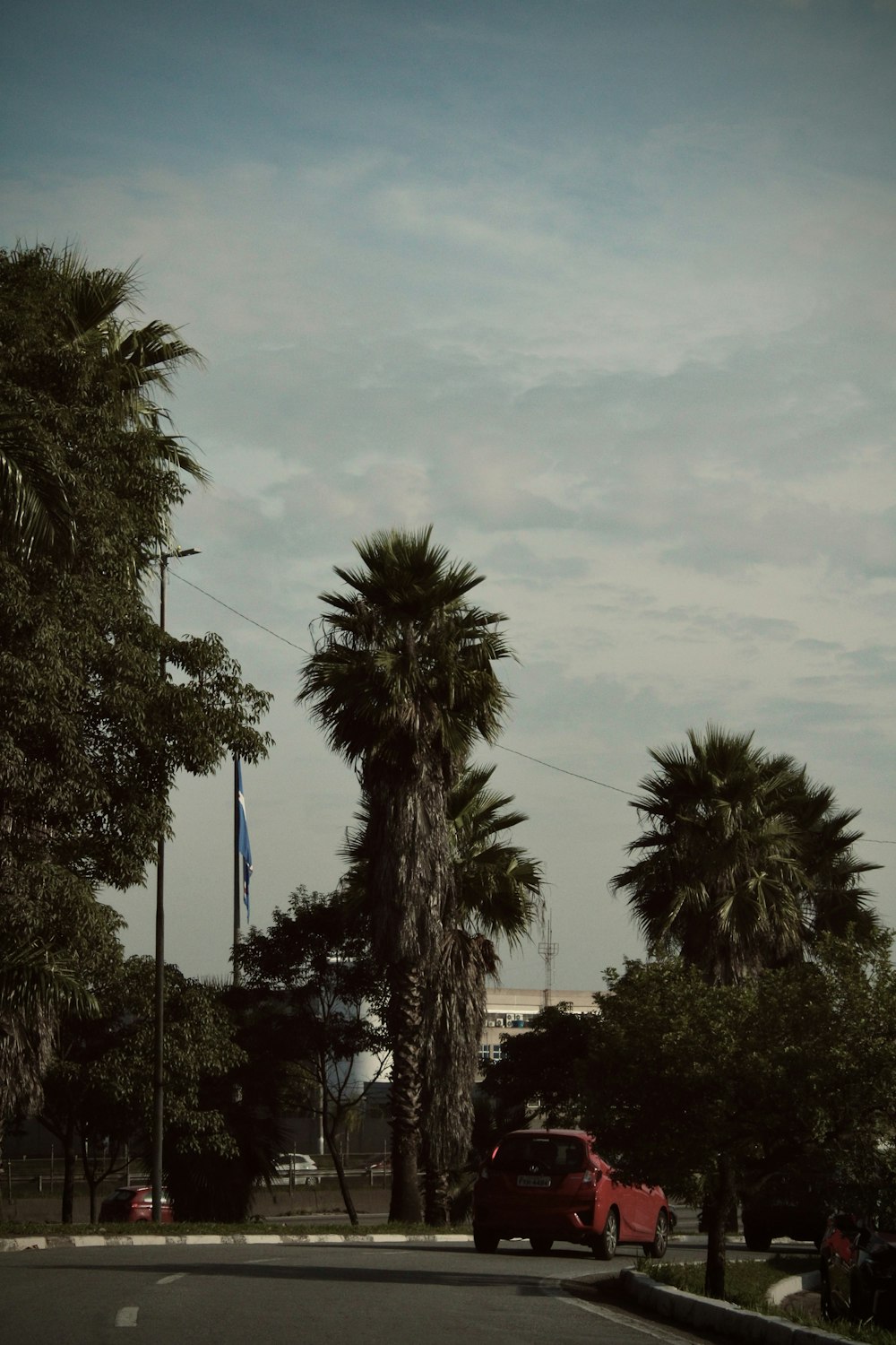 a red car driving down a street next to palm trees