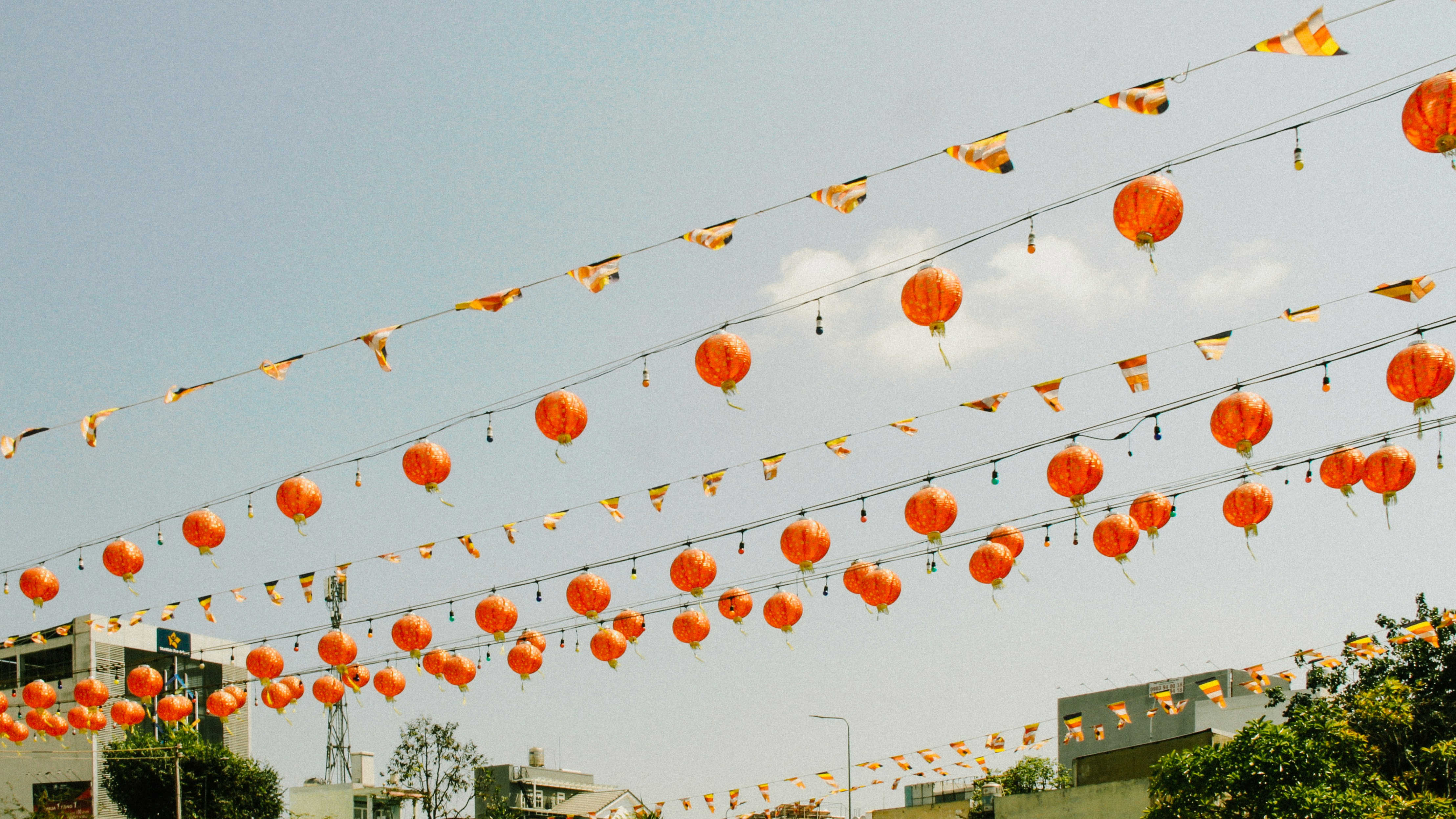 A bunch of orange paper lanterns hanging from a line photo – Free ...