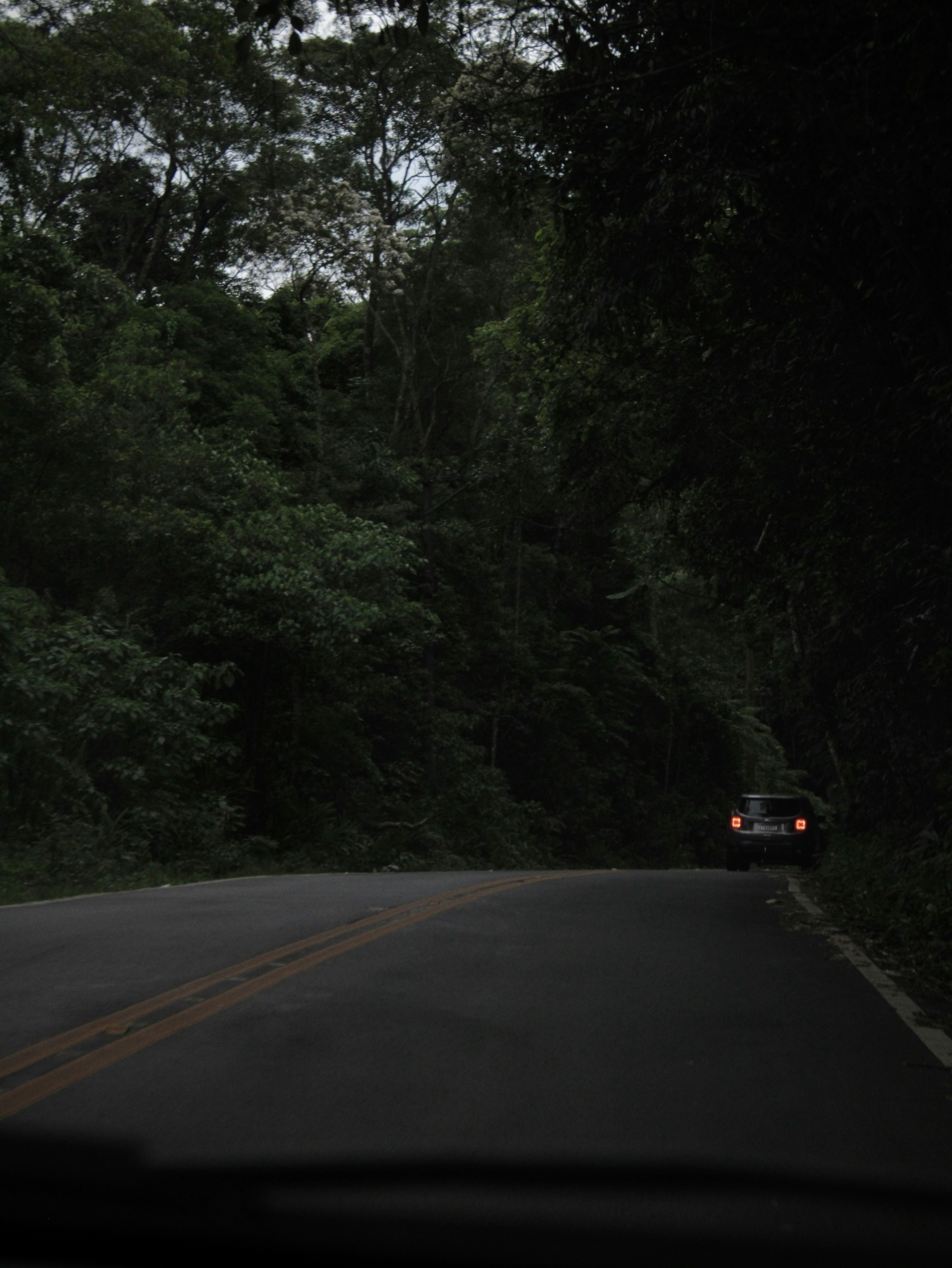 Photo by larissapescada