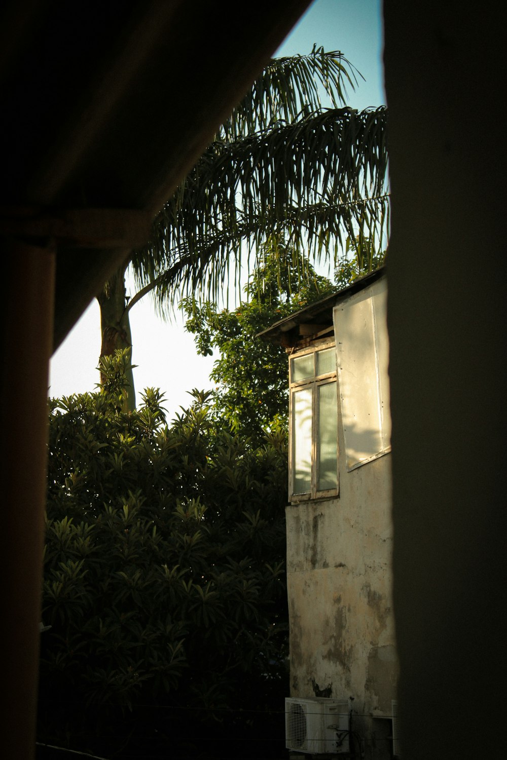 a building with a window and a tree in the background