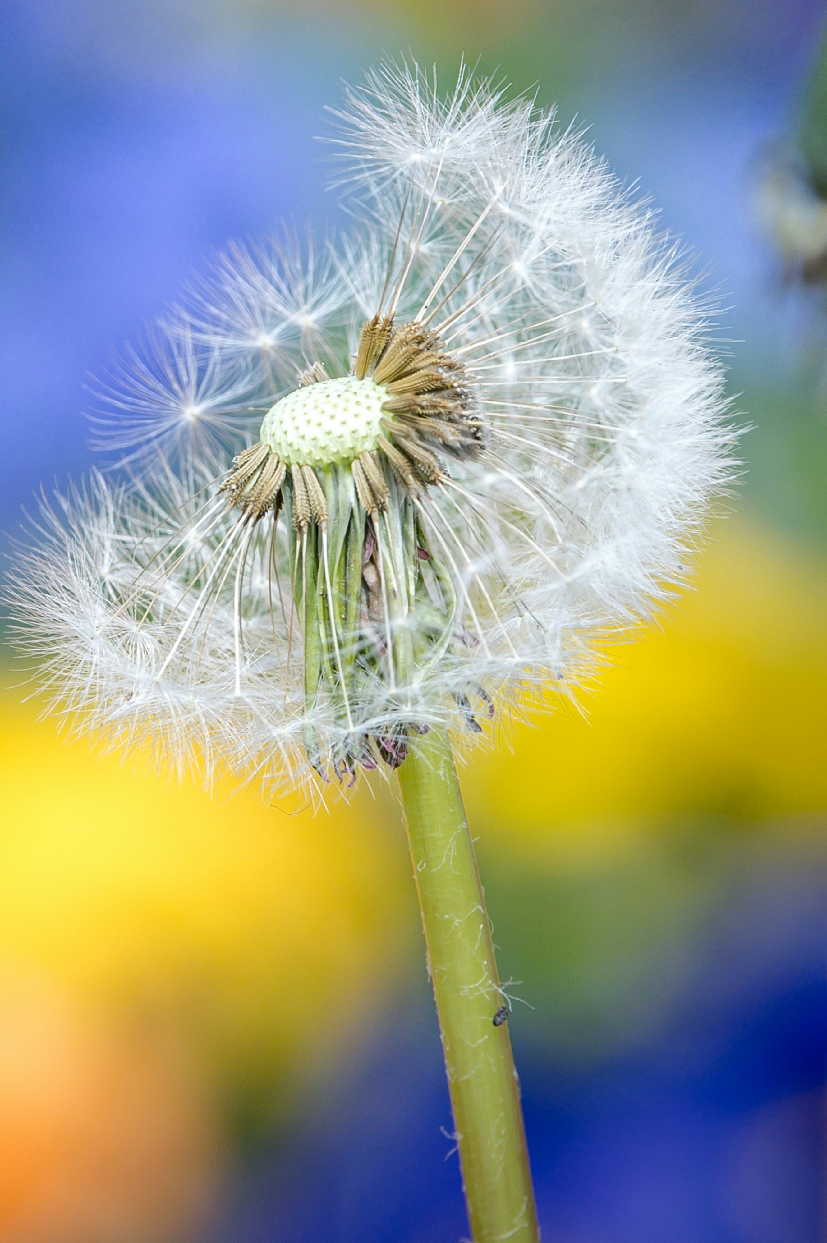 Photo by martinophuc