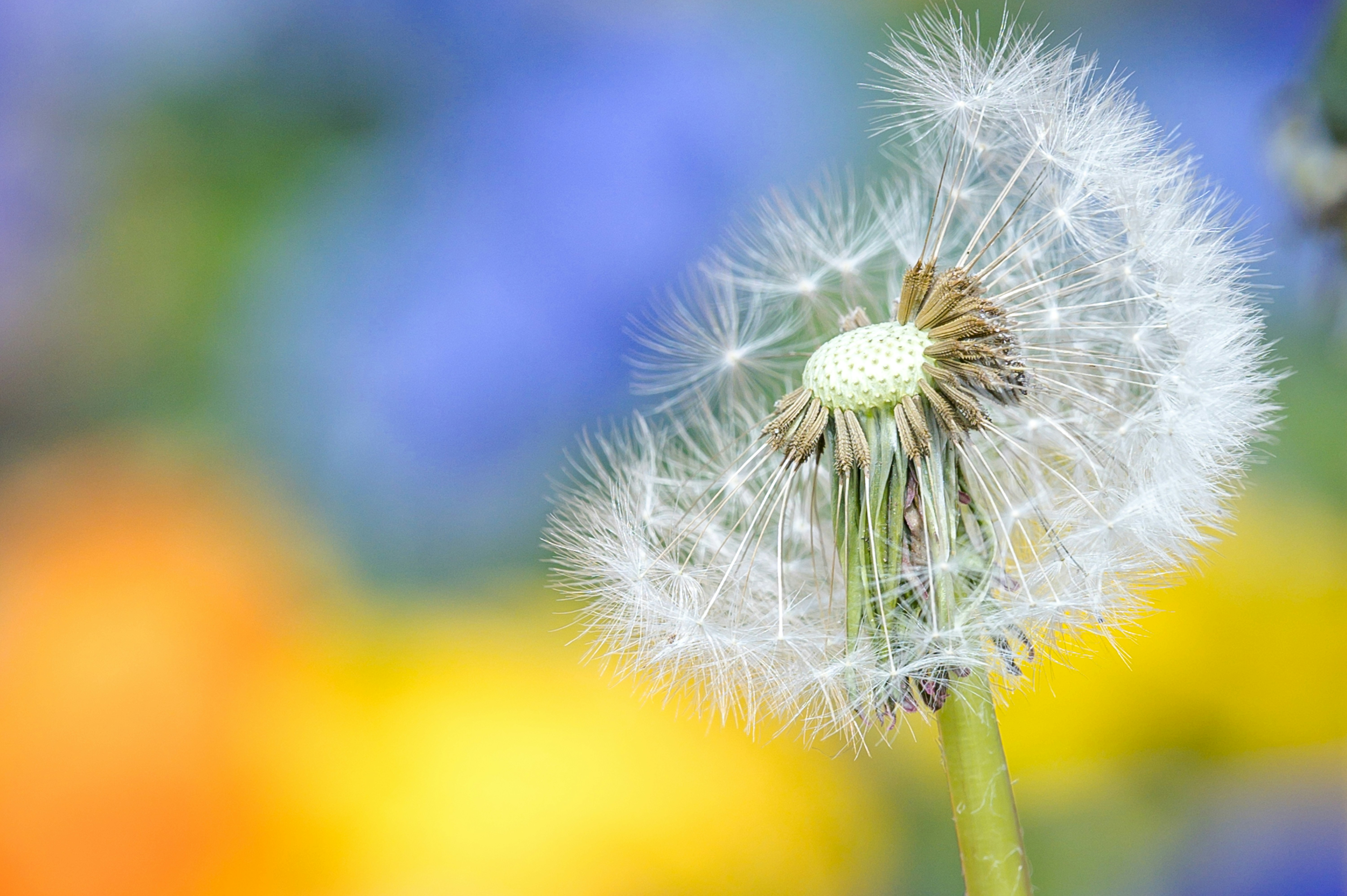 Photo by martinophuc