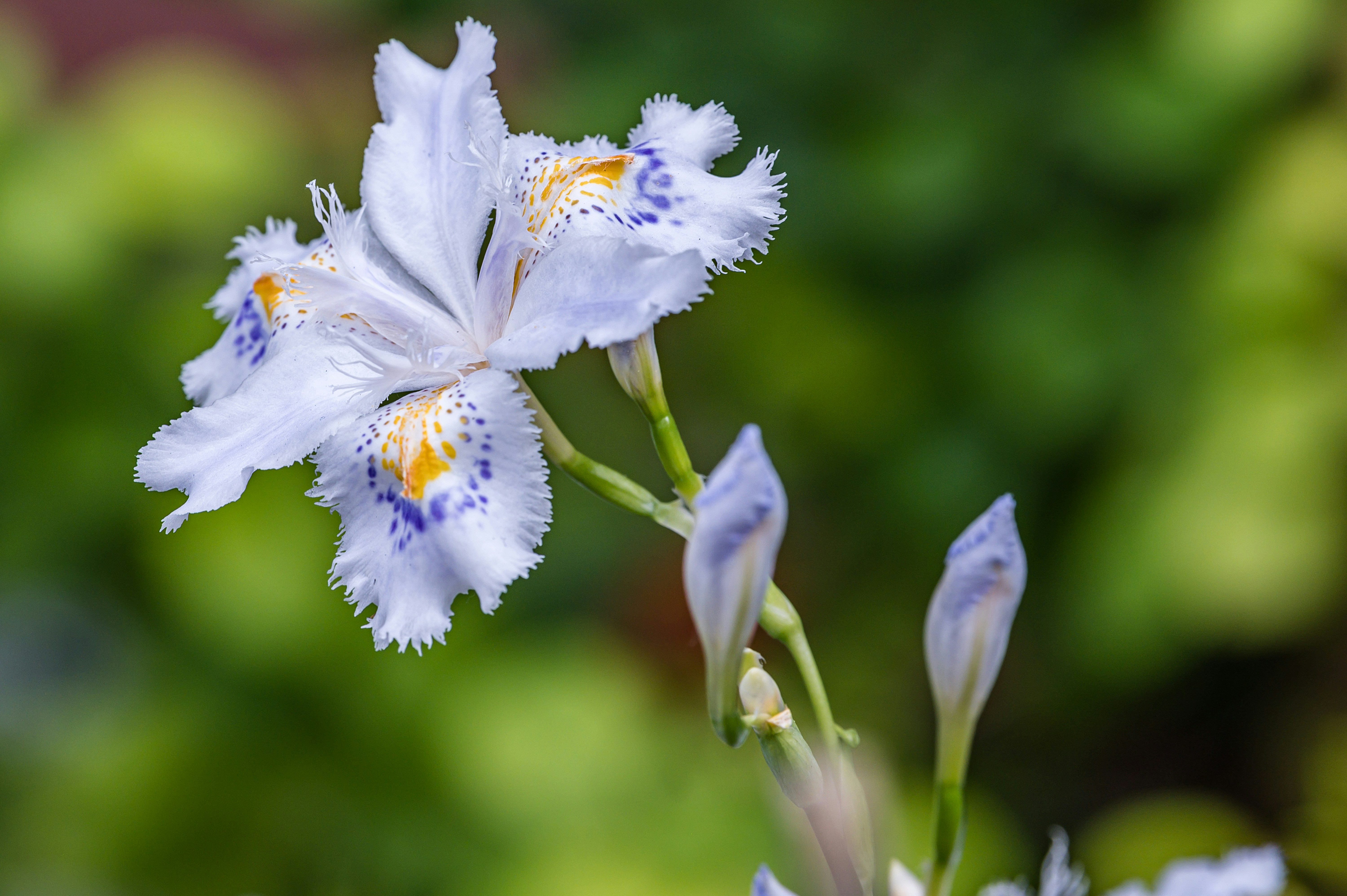 Photo by martinophuc