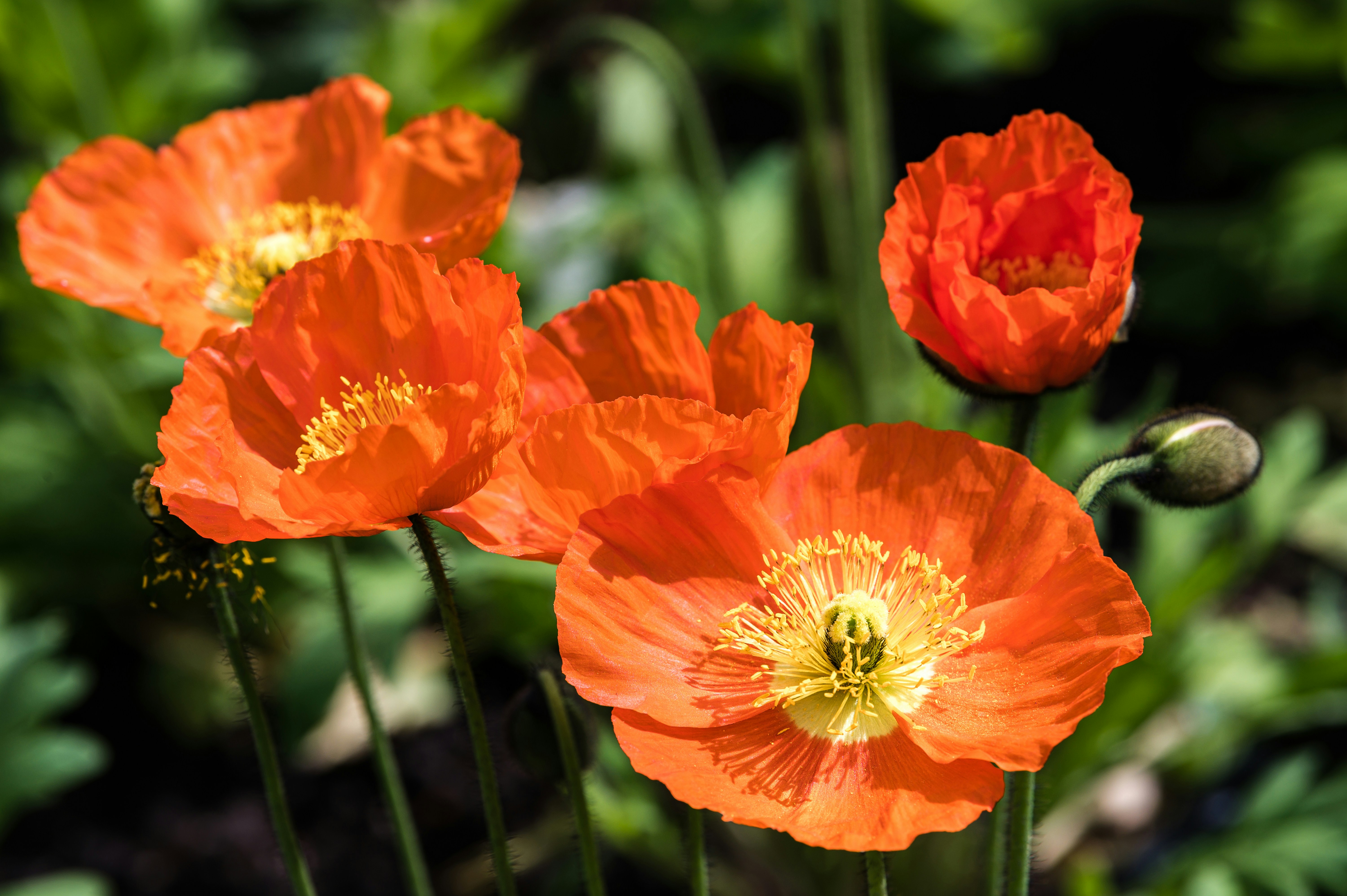 Photo by martinophuc