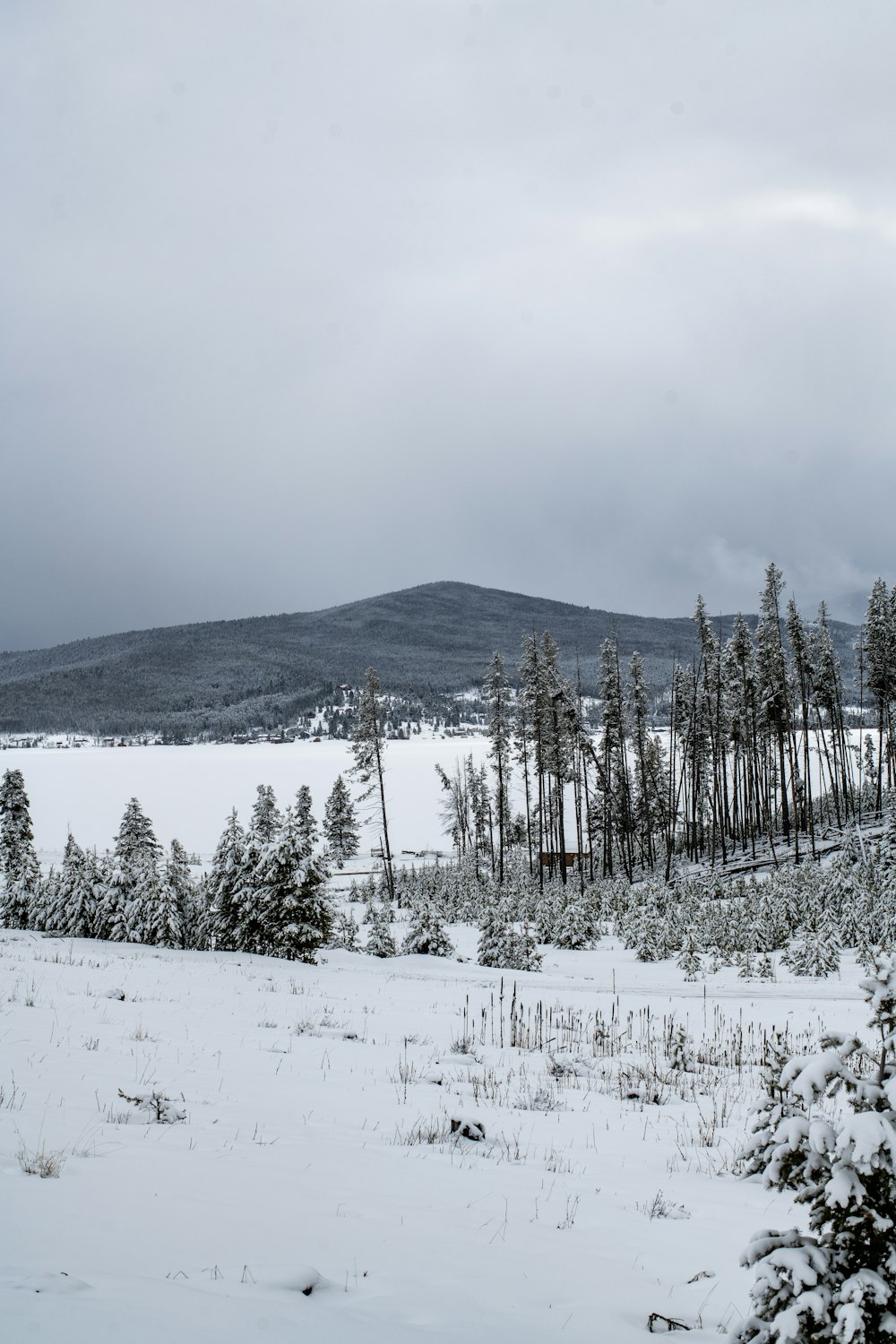 a snow covered field with a mountain in the background