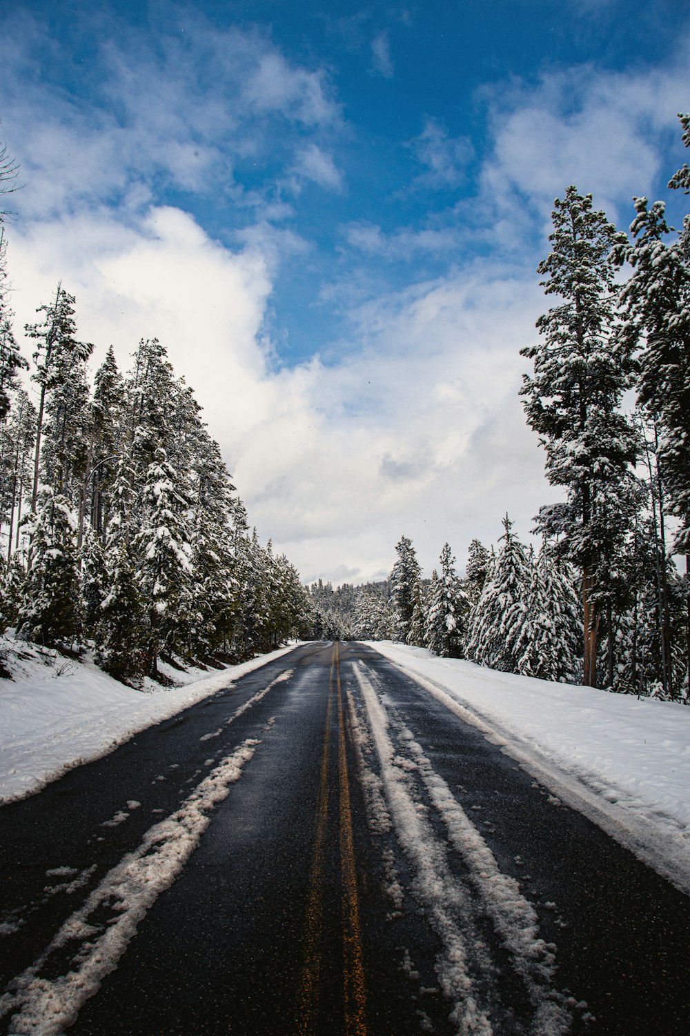 a snow covered road with trees on both sides