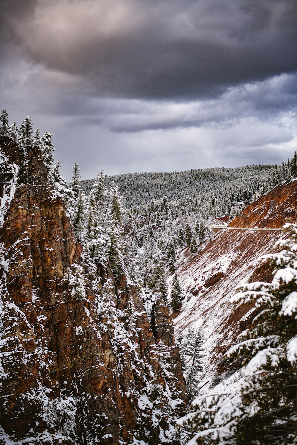 a snow covered mountain with trees and a cloudy sky