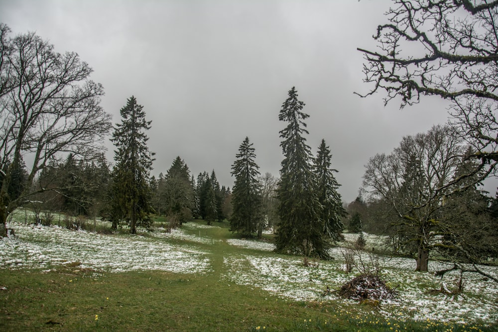 a snow covered field with trees in the background