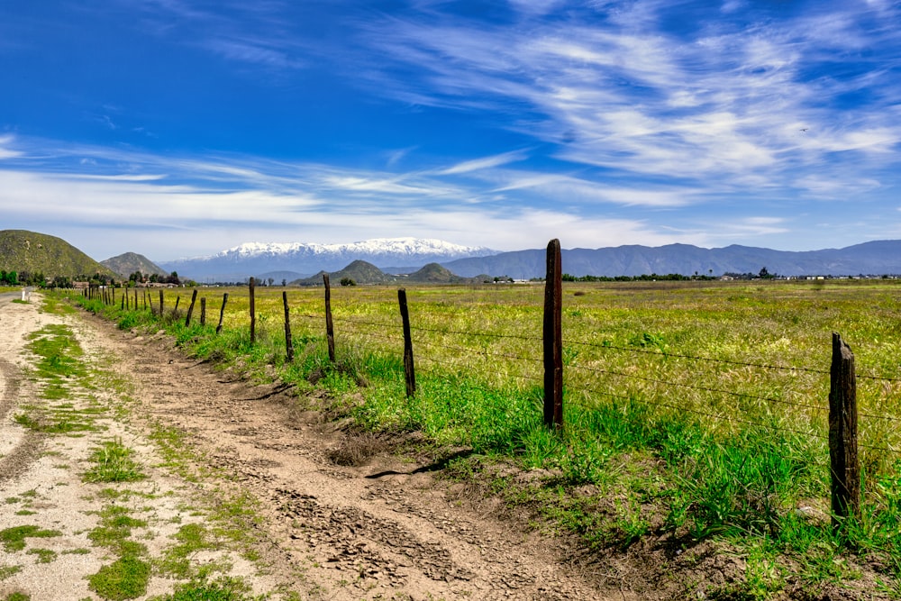 a dirt road running through a lush green field