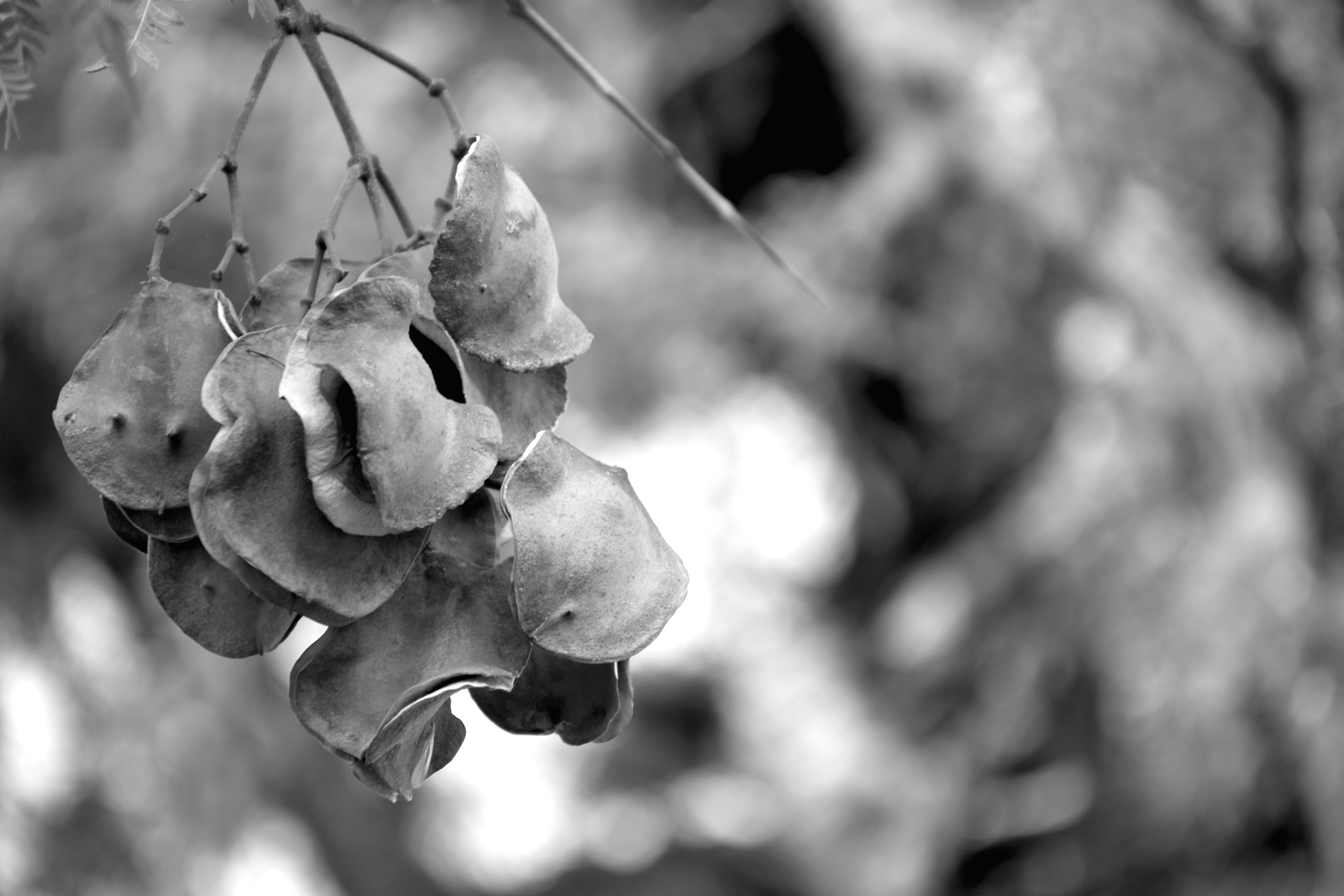 Photo by luigy_ghost