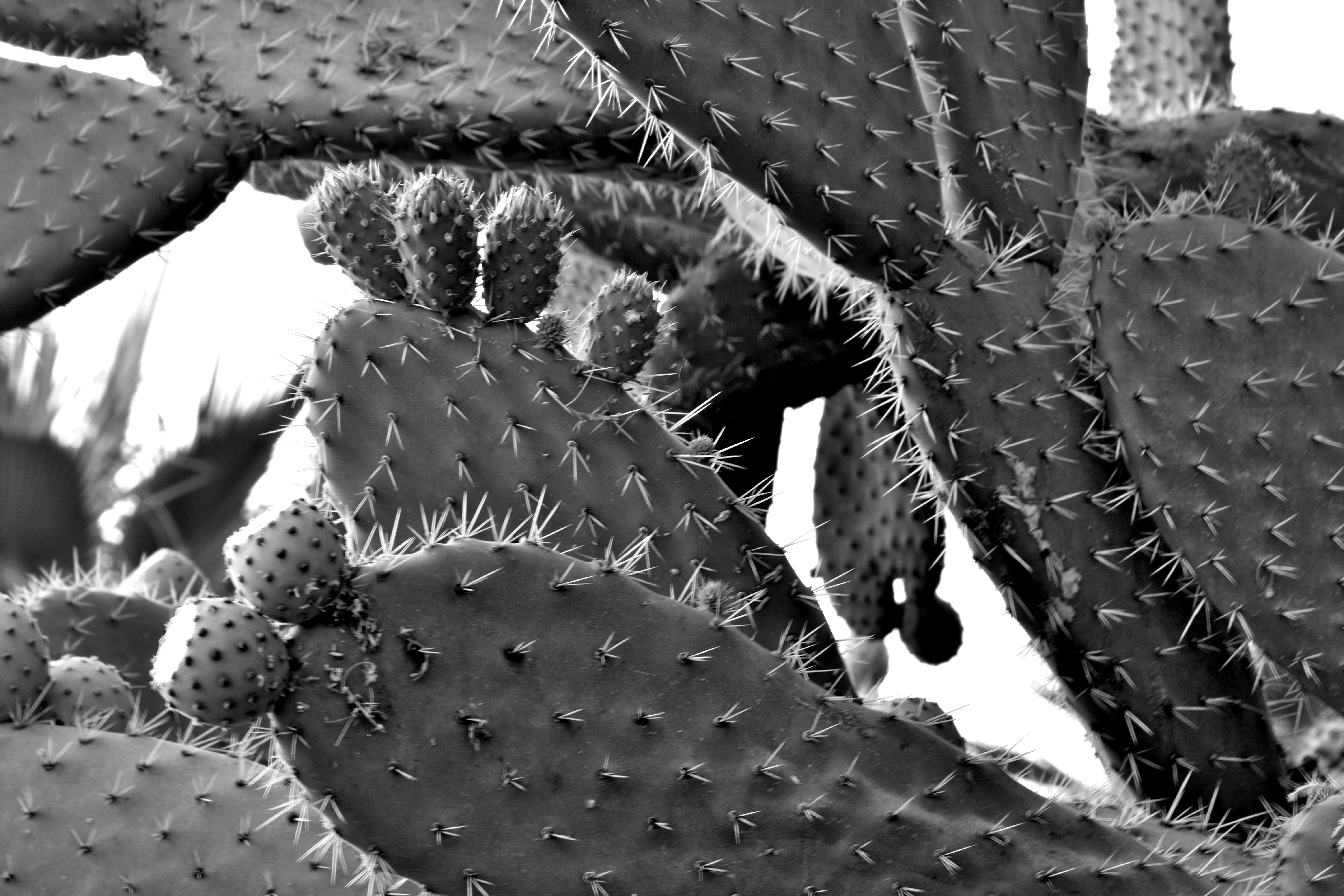 Photo by luigy_ghost