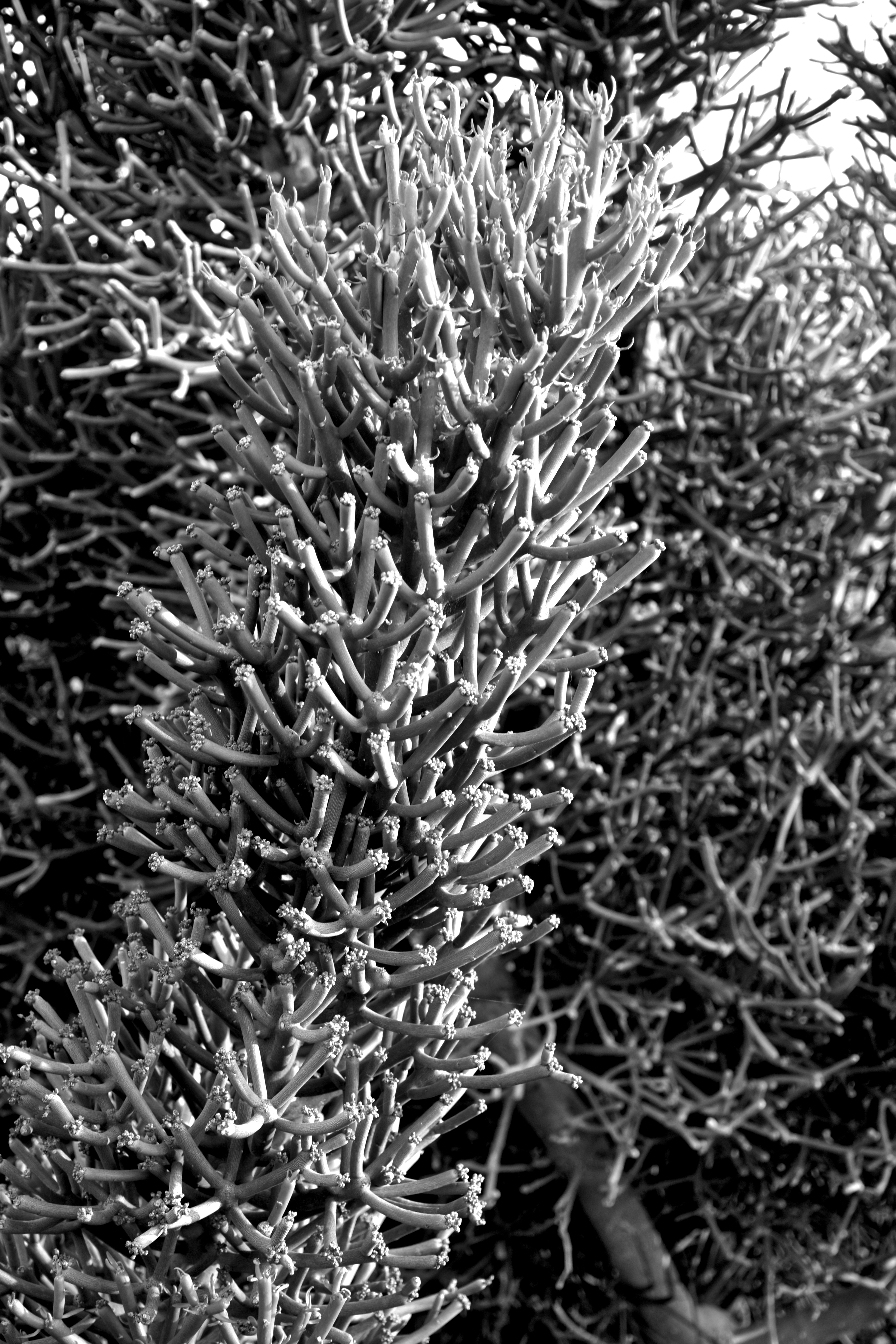 Photo by luigy_ghost