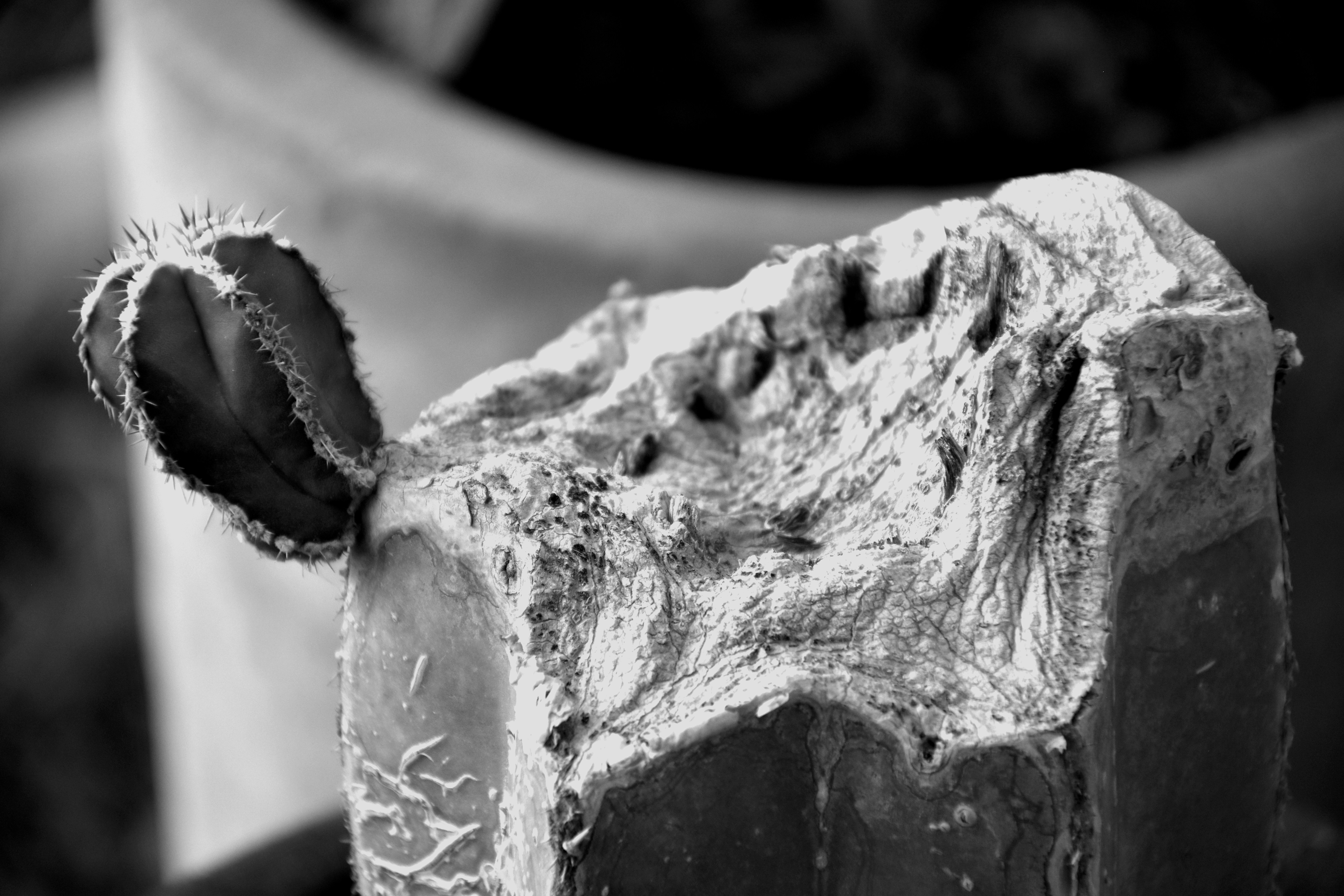 Photo by luigy_ghost