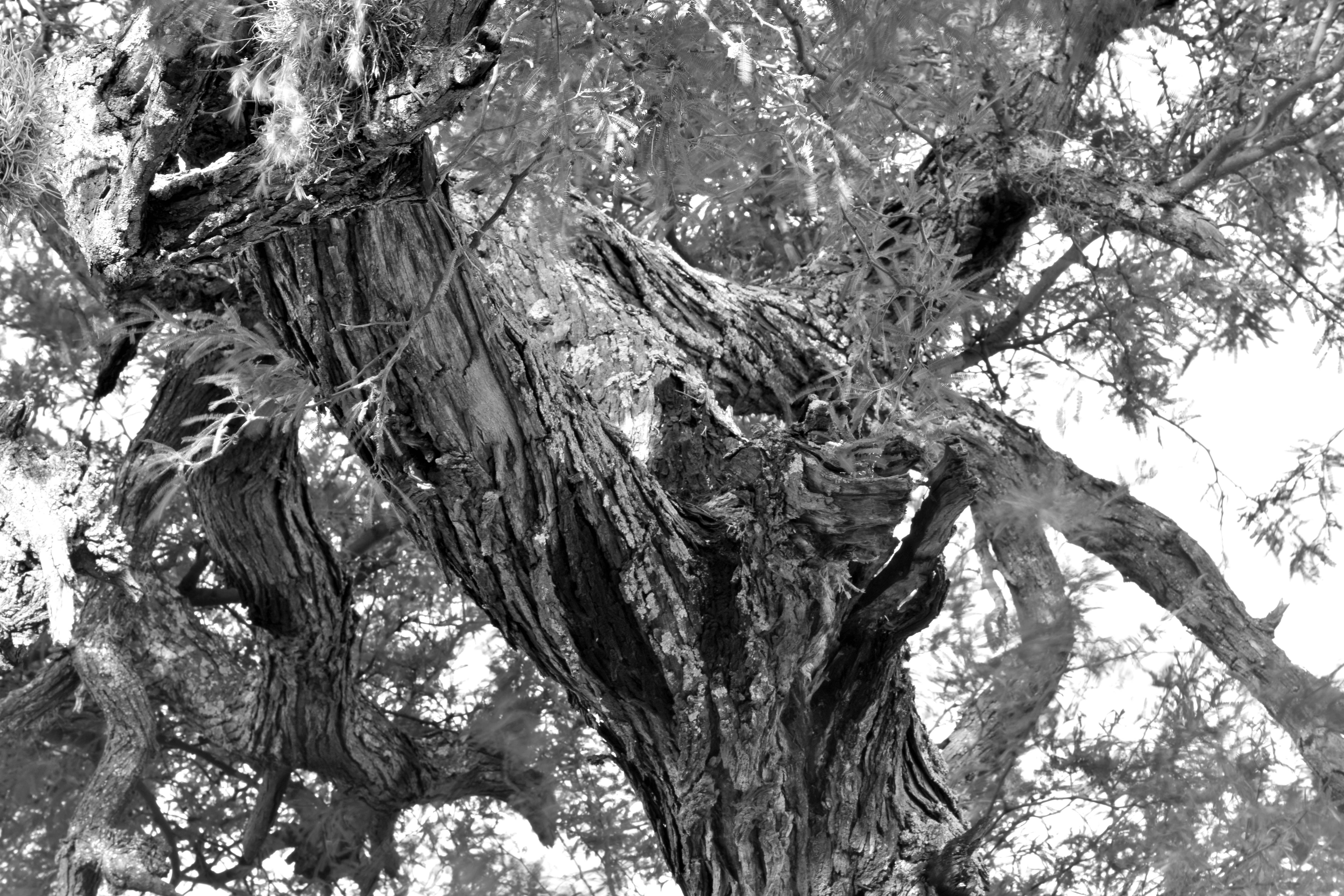 Photo by luigy_ghost