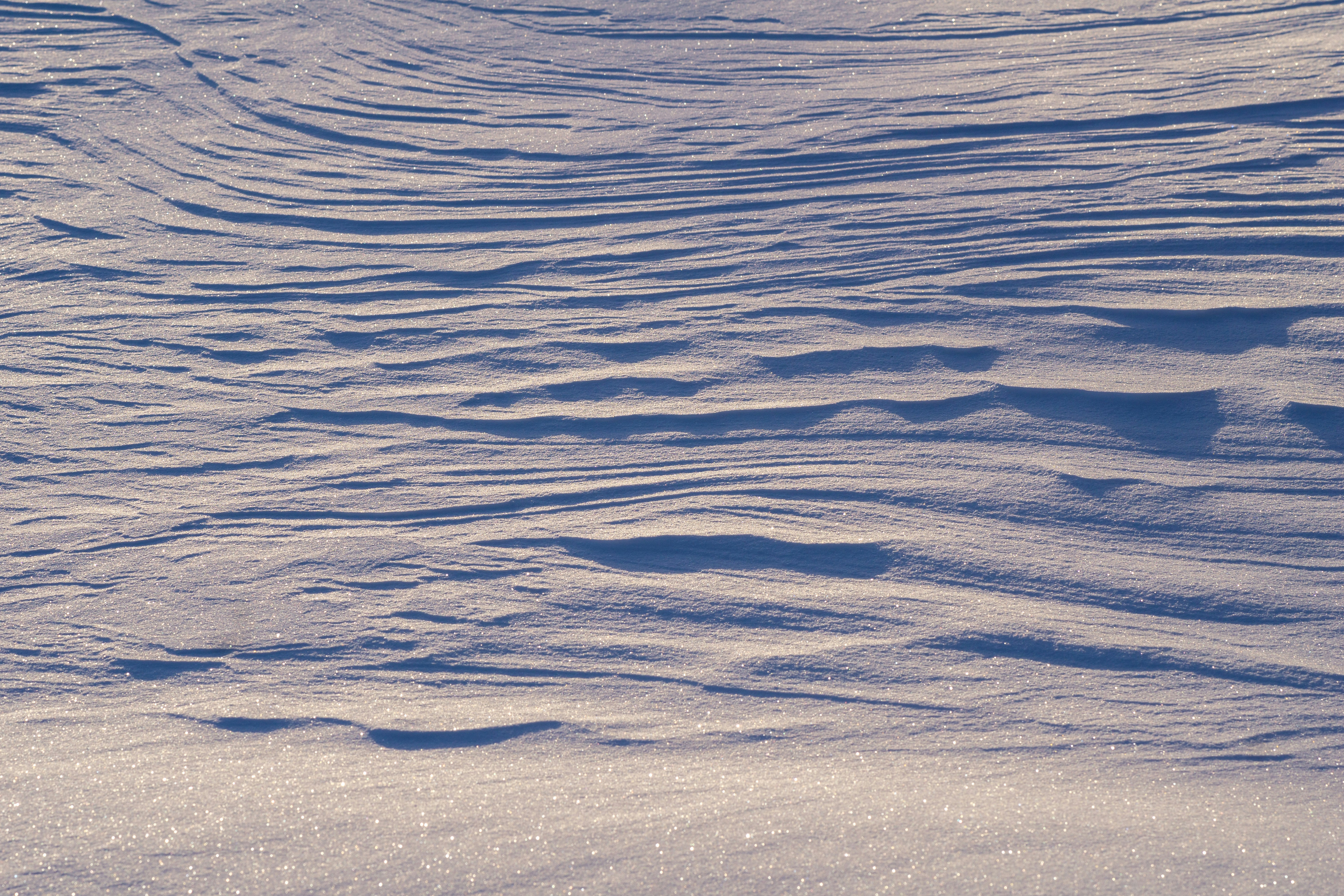 Photo by david_pavka