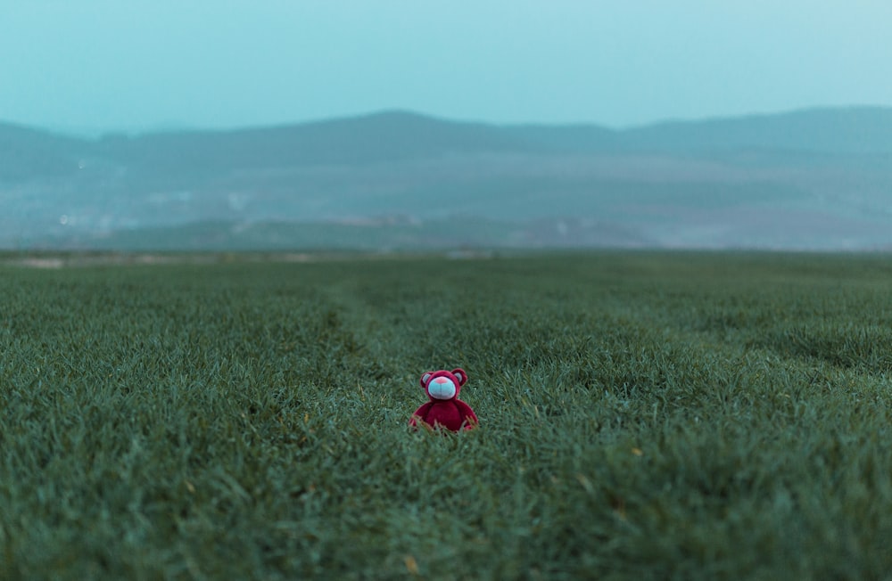 a teddy bear in a field with mountains in the background