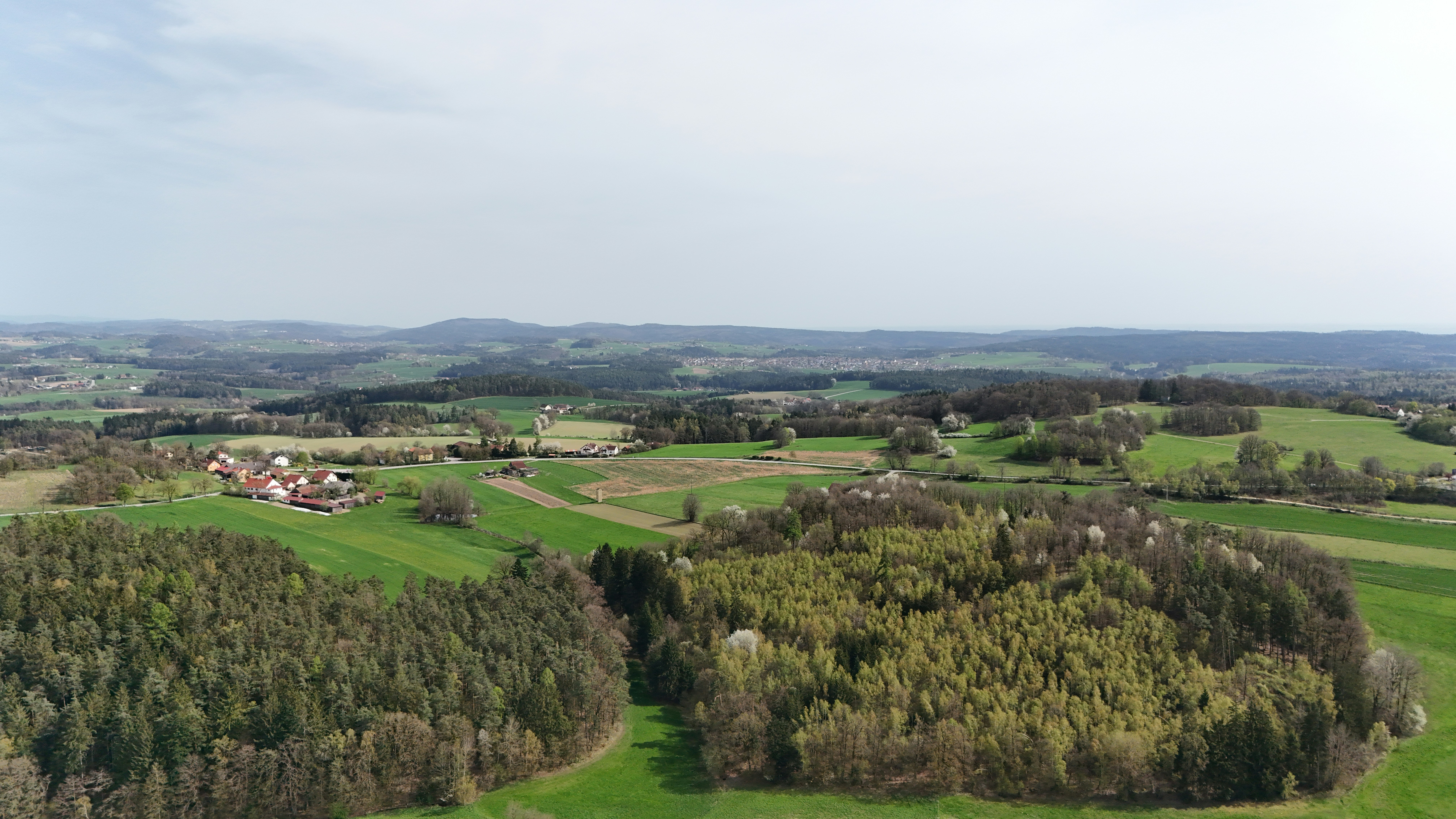 Photo by mallo321123