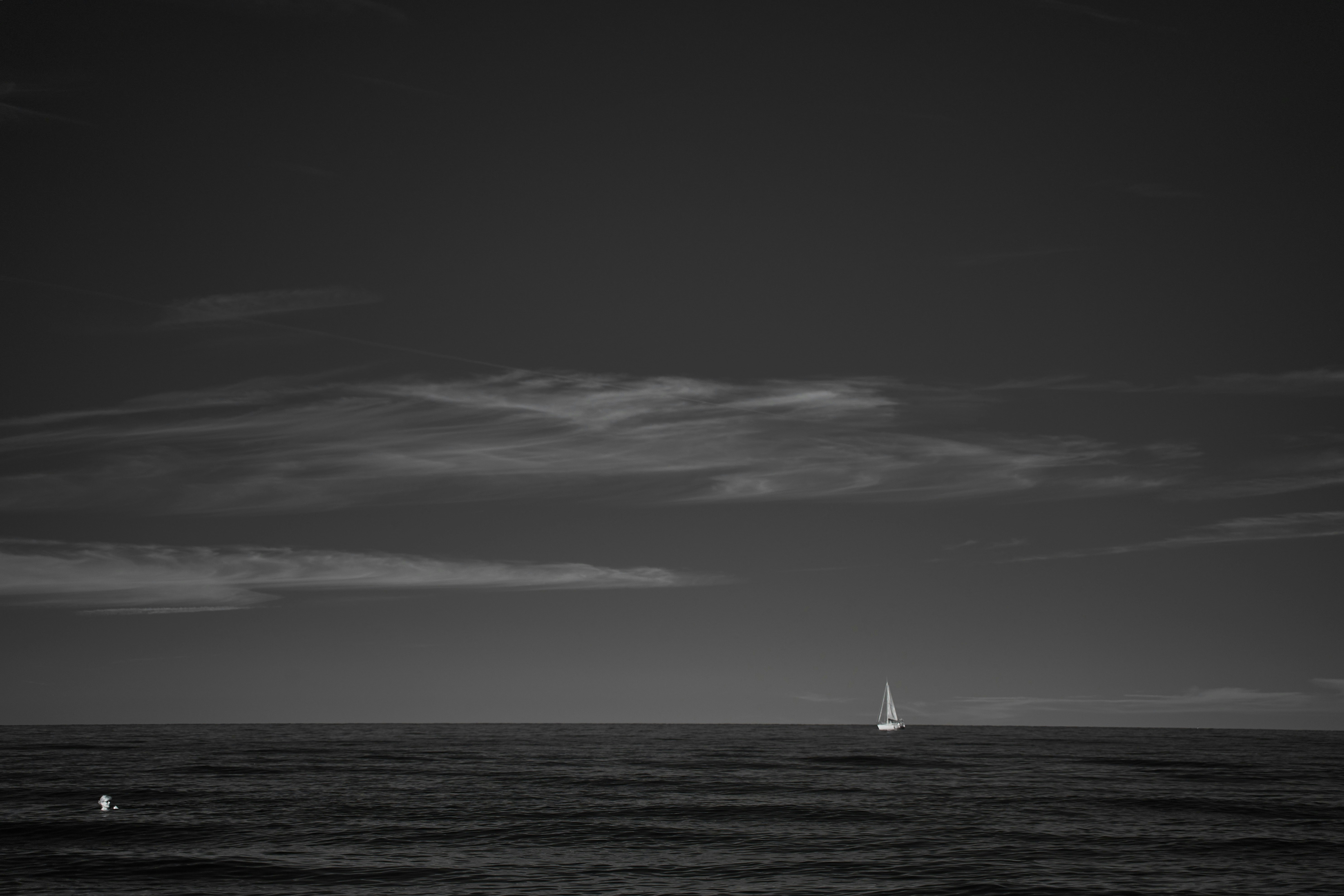 Photo by wolfgang_hasselmann