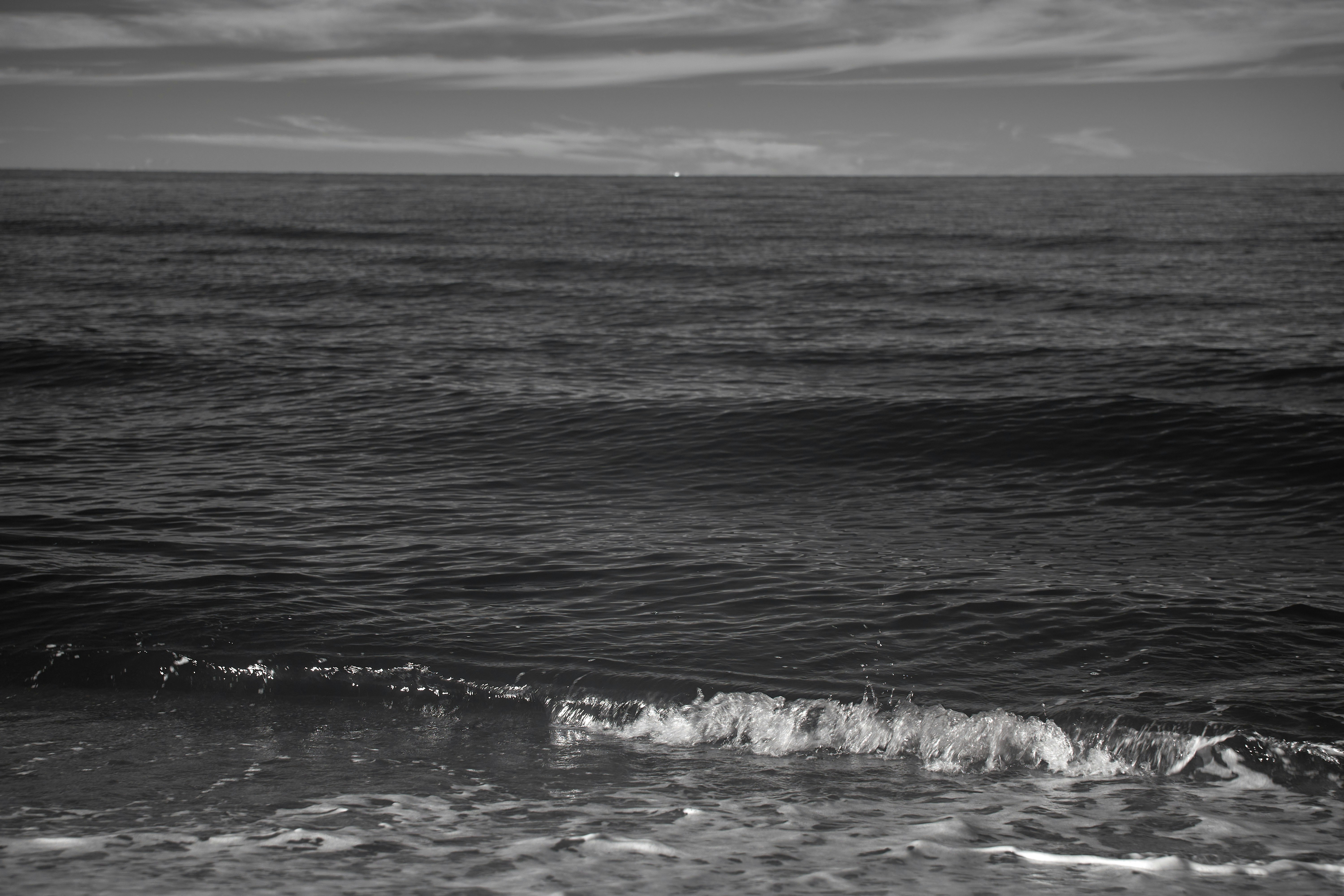 Photo by wolfgang_hasselmann