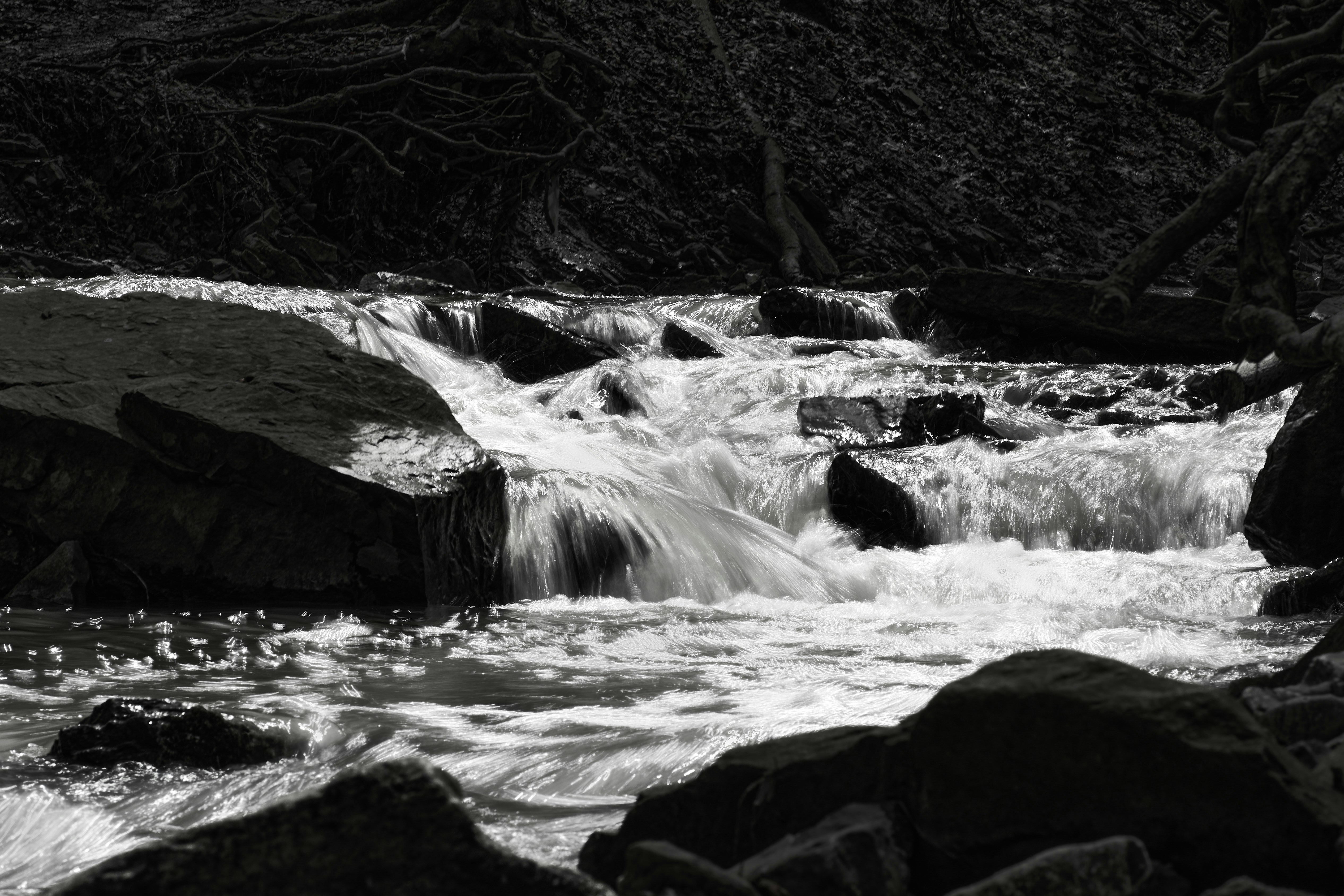 Photo by wolfgang_hasselmann