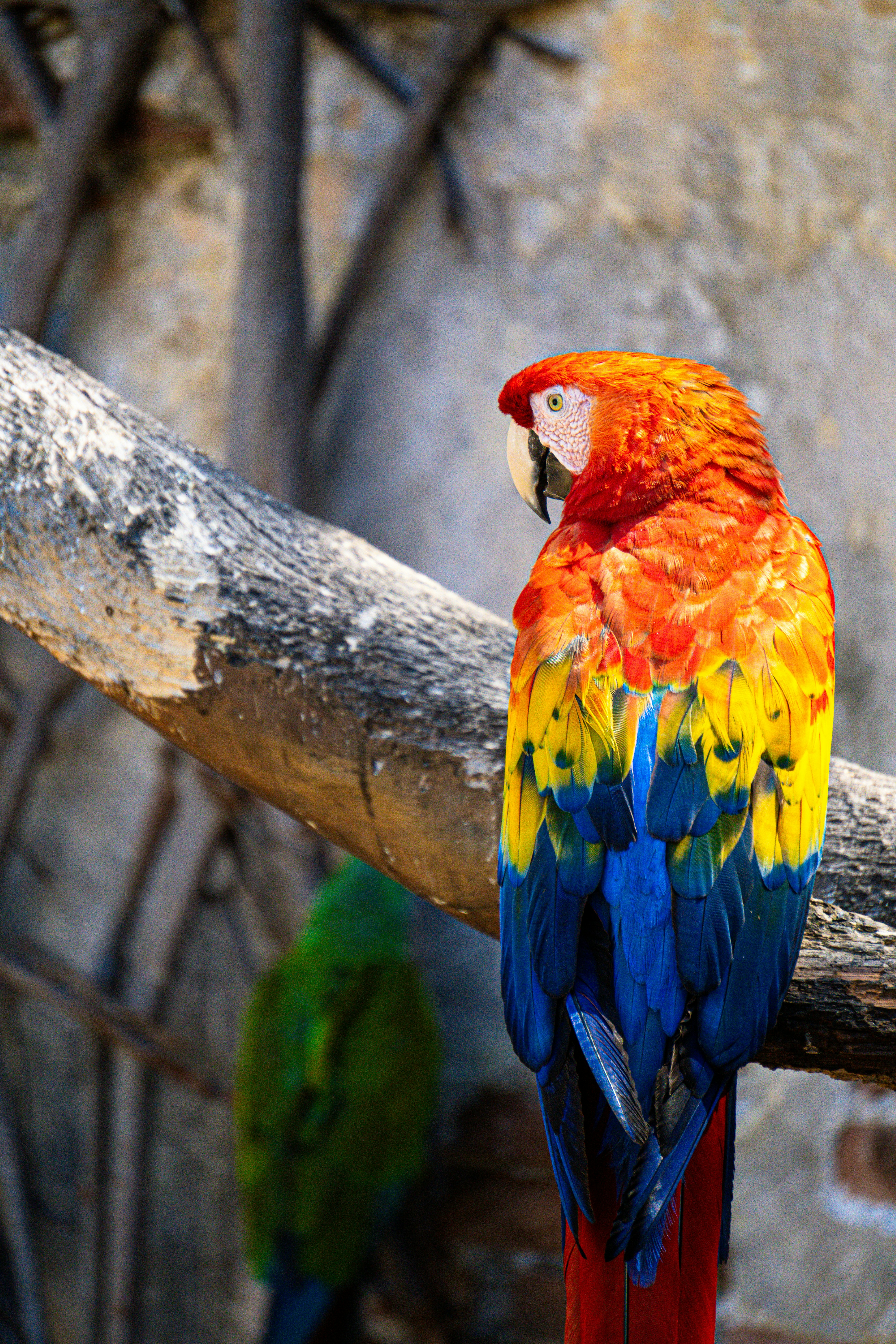 Photo by brettmayson